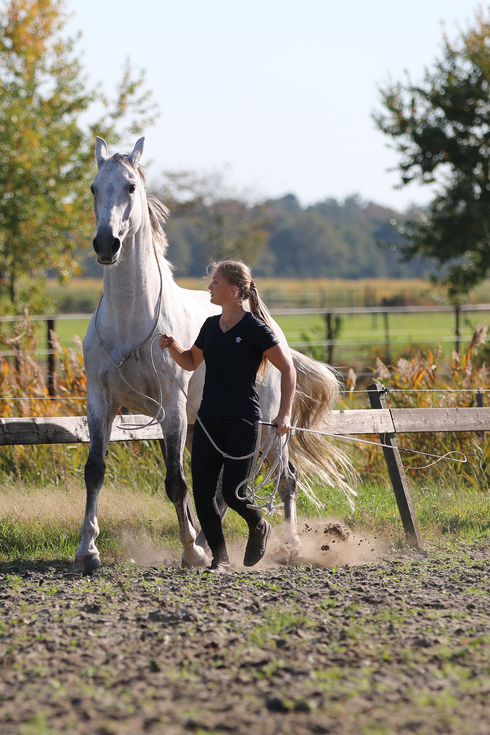 F.R.A. Freedom Riding Articles Flinn Longetov bomuld, 820 cm