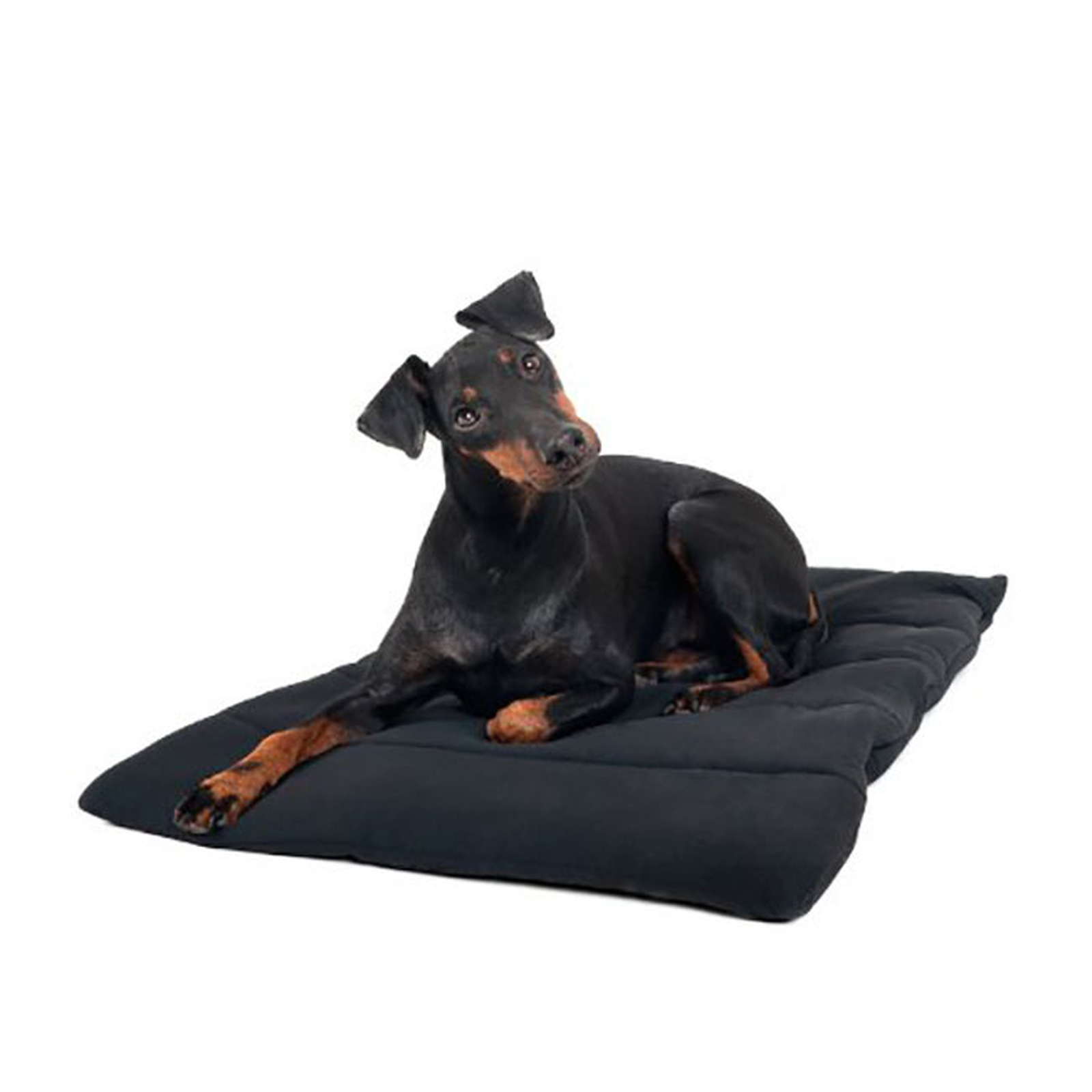 Back on Track hundet&aelig;ppe