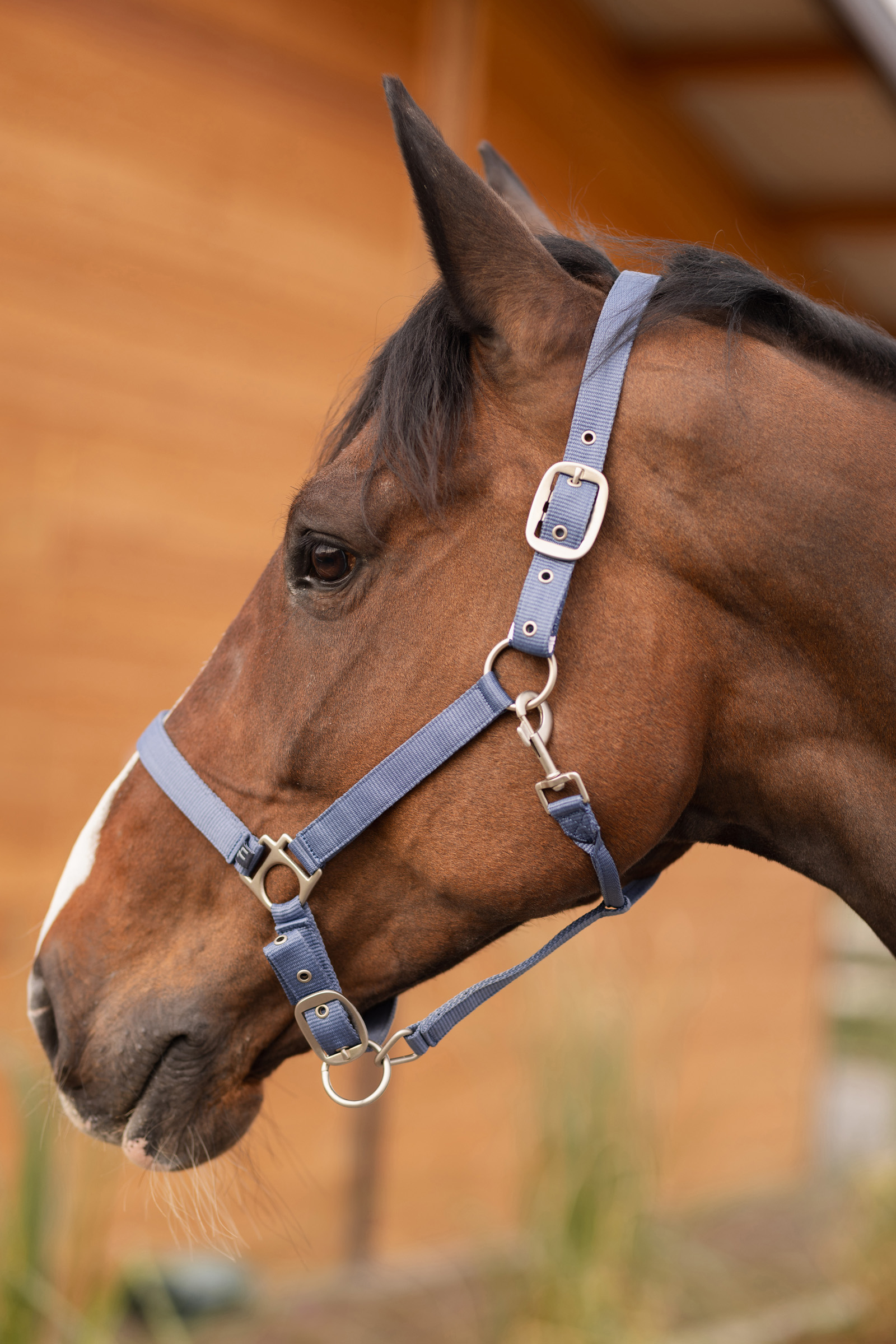 Horze Rose Tonique Grime