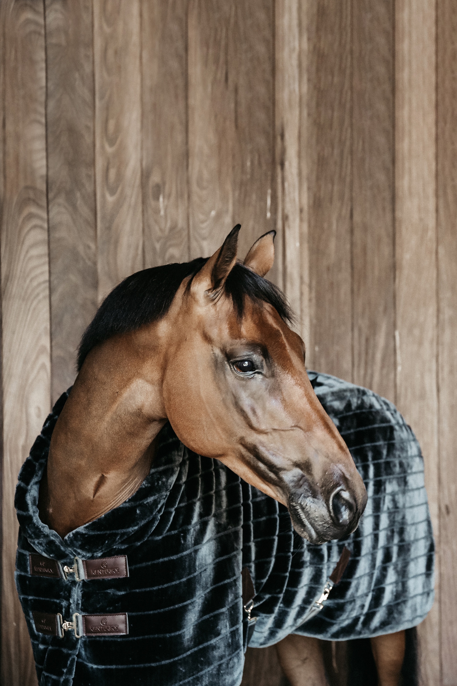 Kentucky Horsewear Fake Fur stalddækken