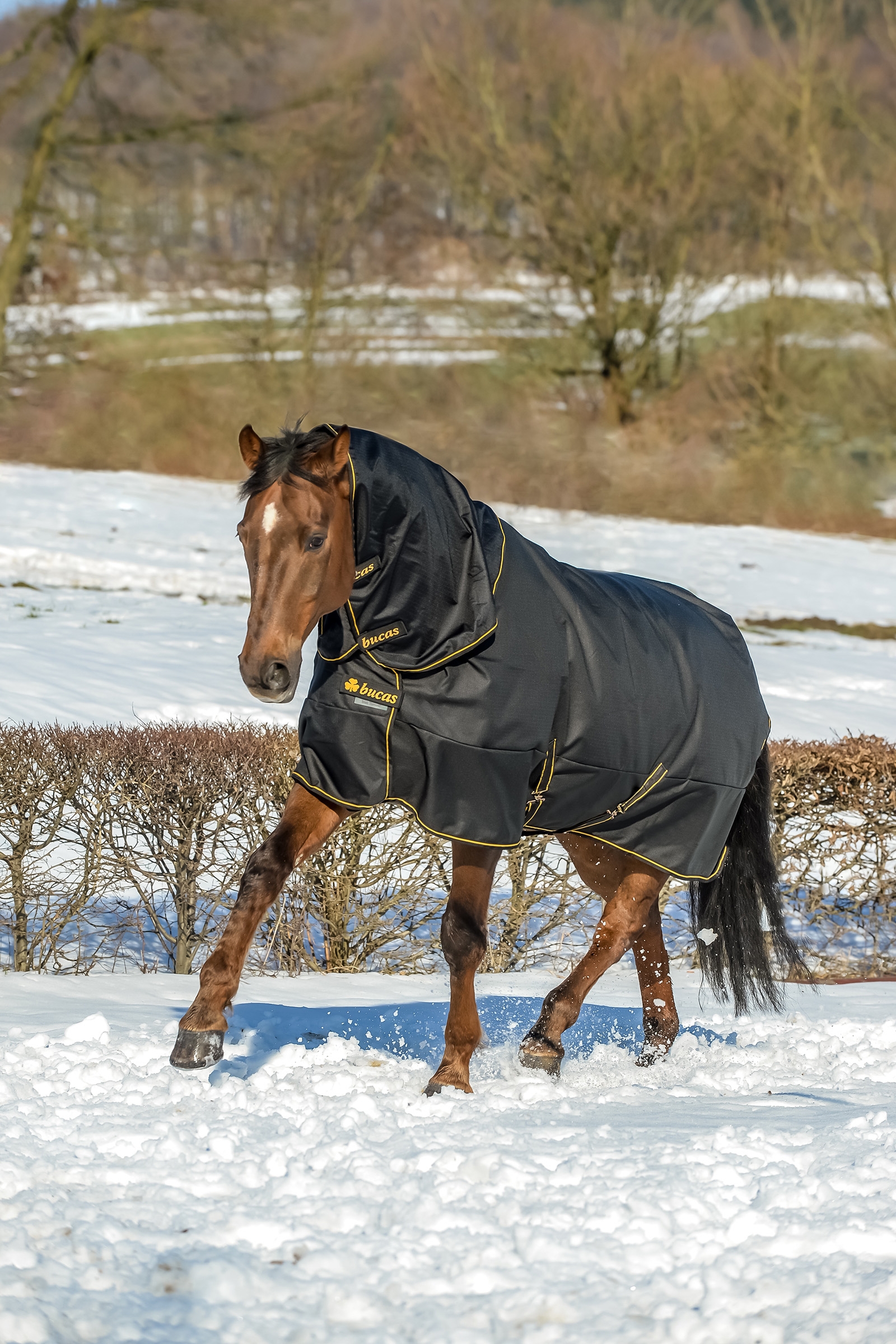 Bucas Irish Extra udedækken, pony