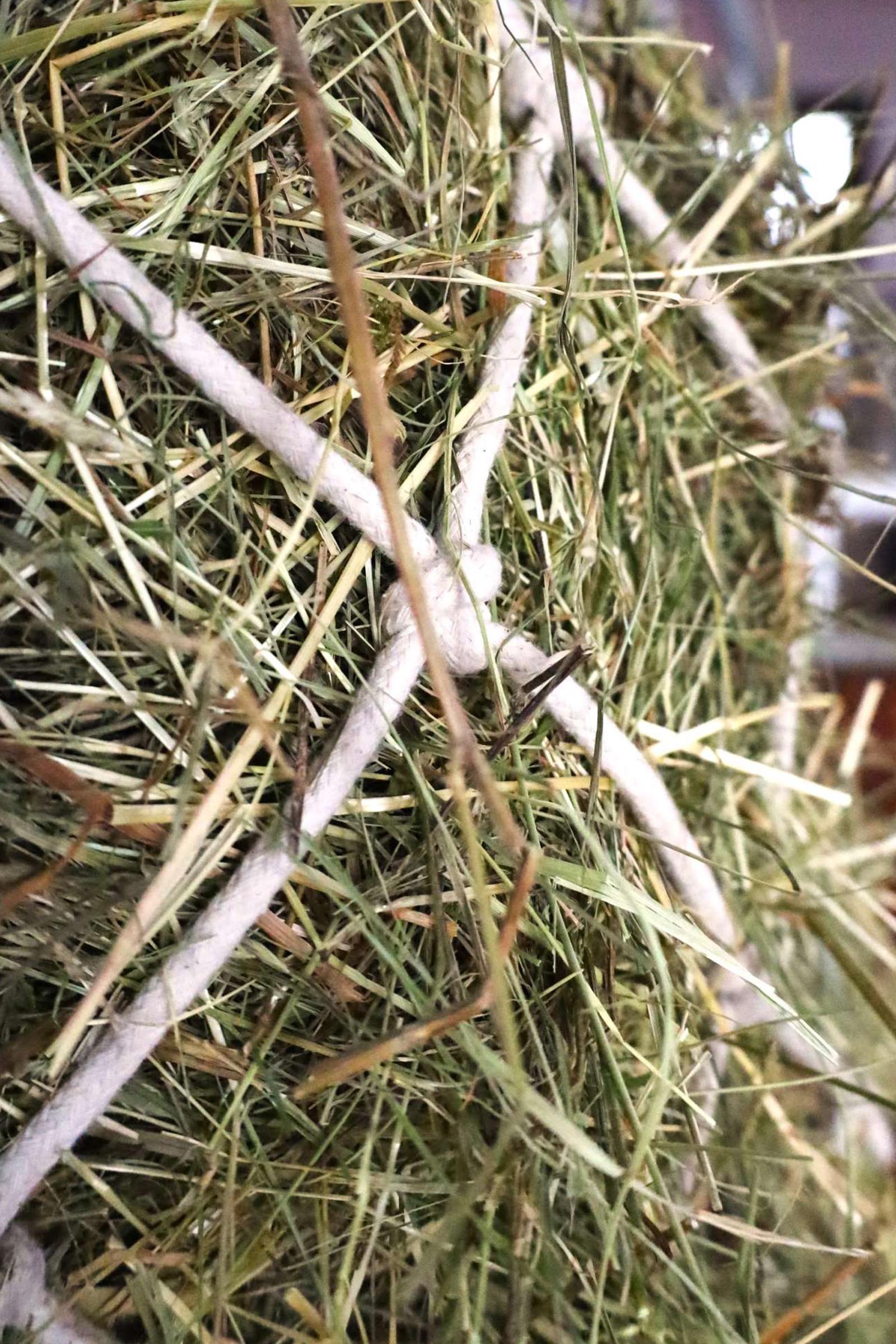 USG bomulds-h&oslash;net, maskest&oslash;rrelse 10 x 10 cm