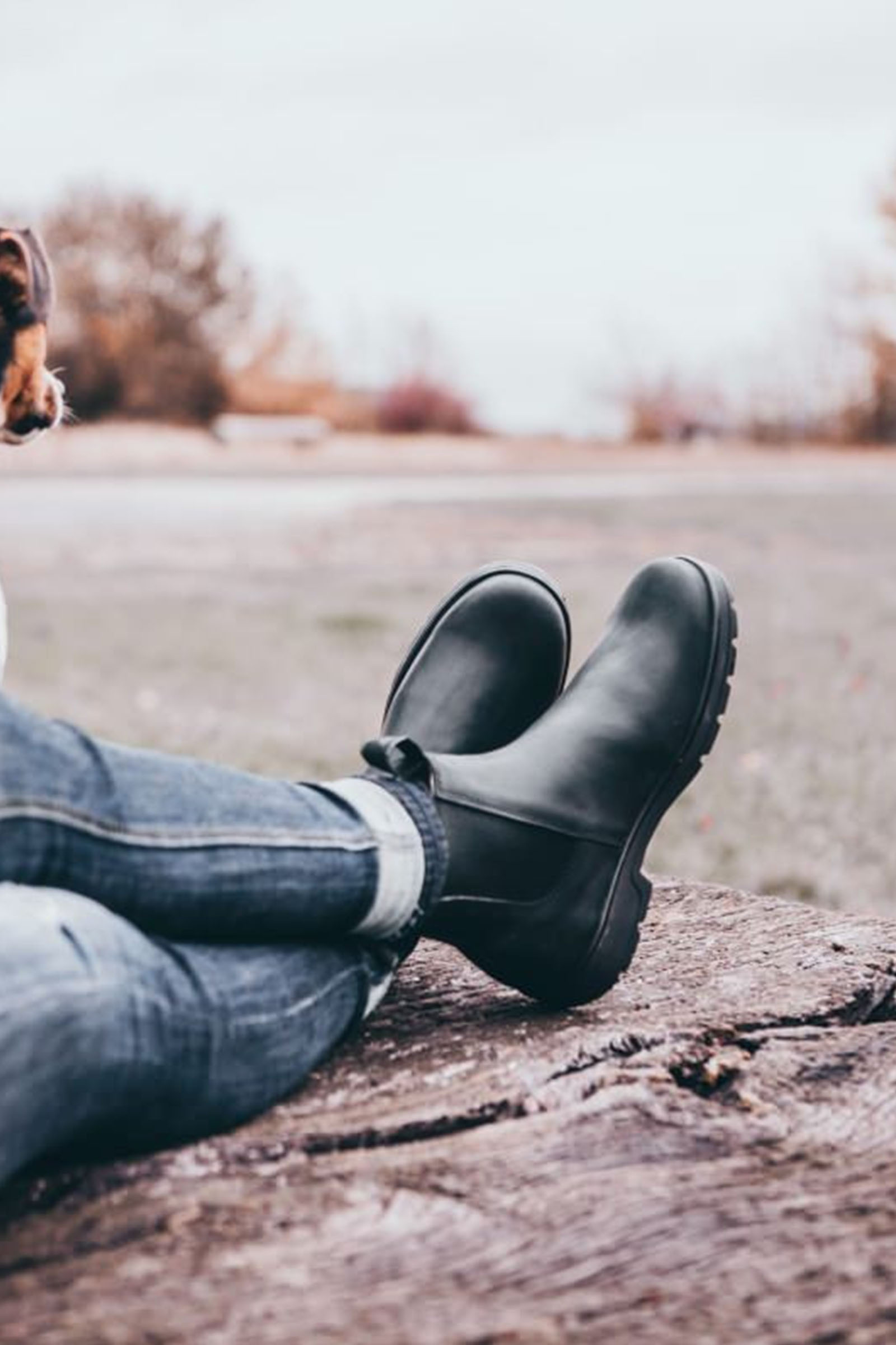 Suedwind Footwear 1888 Chelsea Jodhpur St&oslash;vler