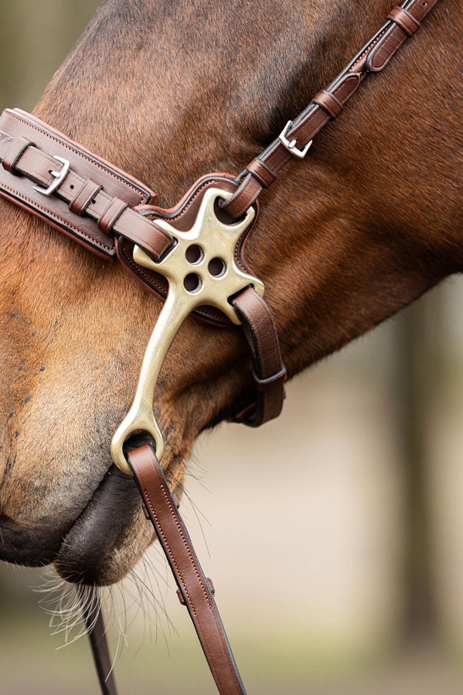 Trust Equestrian Bridle Sopot Hackamore Bridle, Wangen 16 cm