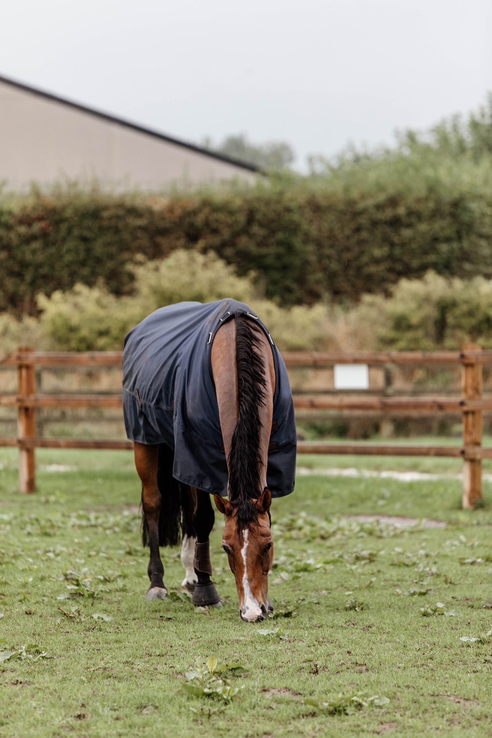 Kentucky Horsewear All Weather Udedækken, 300g
