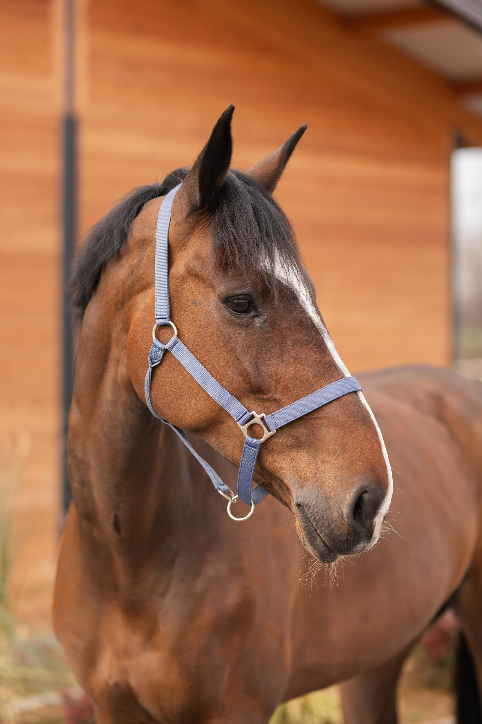 Horze Rose Tonique Grime