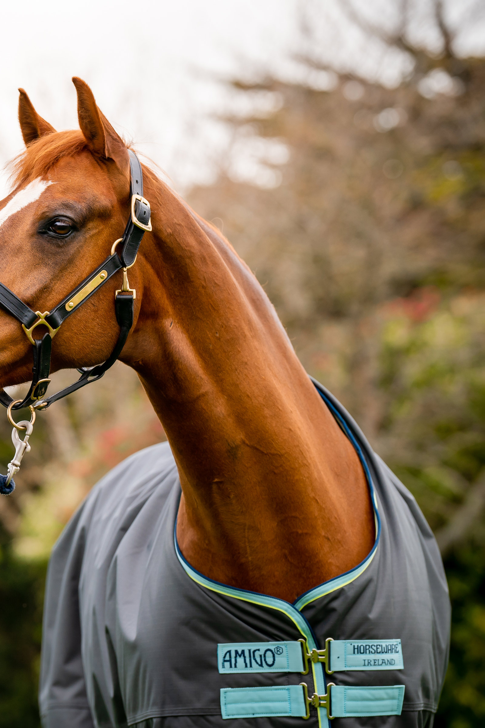 Horseware Amigo Hero Ripstop Plus uded&aelig;kken med aftagelig hals, 200g