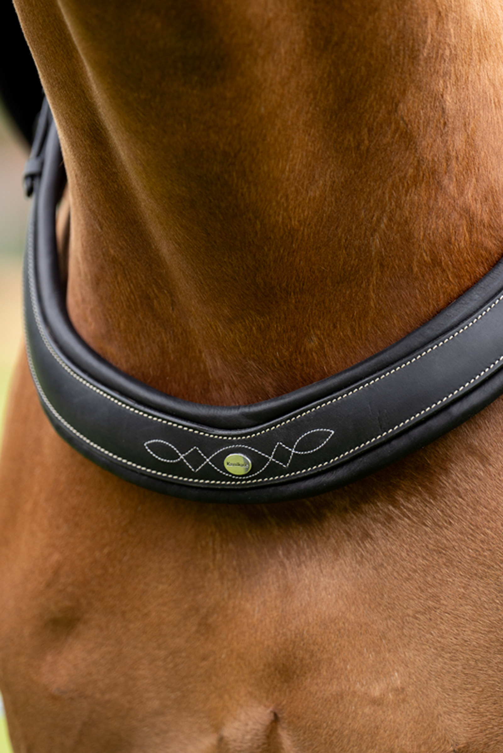 Kavalkade Jerome 2-punkts Brystplade