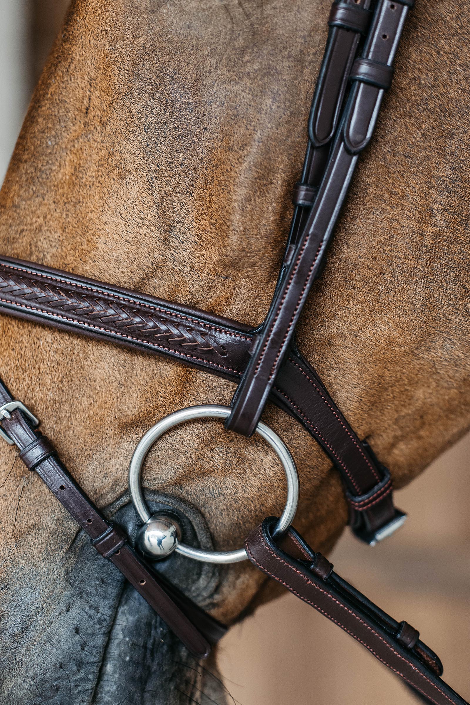 Dy'on New English flettet trense med kombineret n&aelig;seb&aring;nd