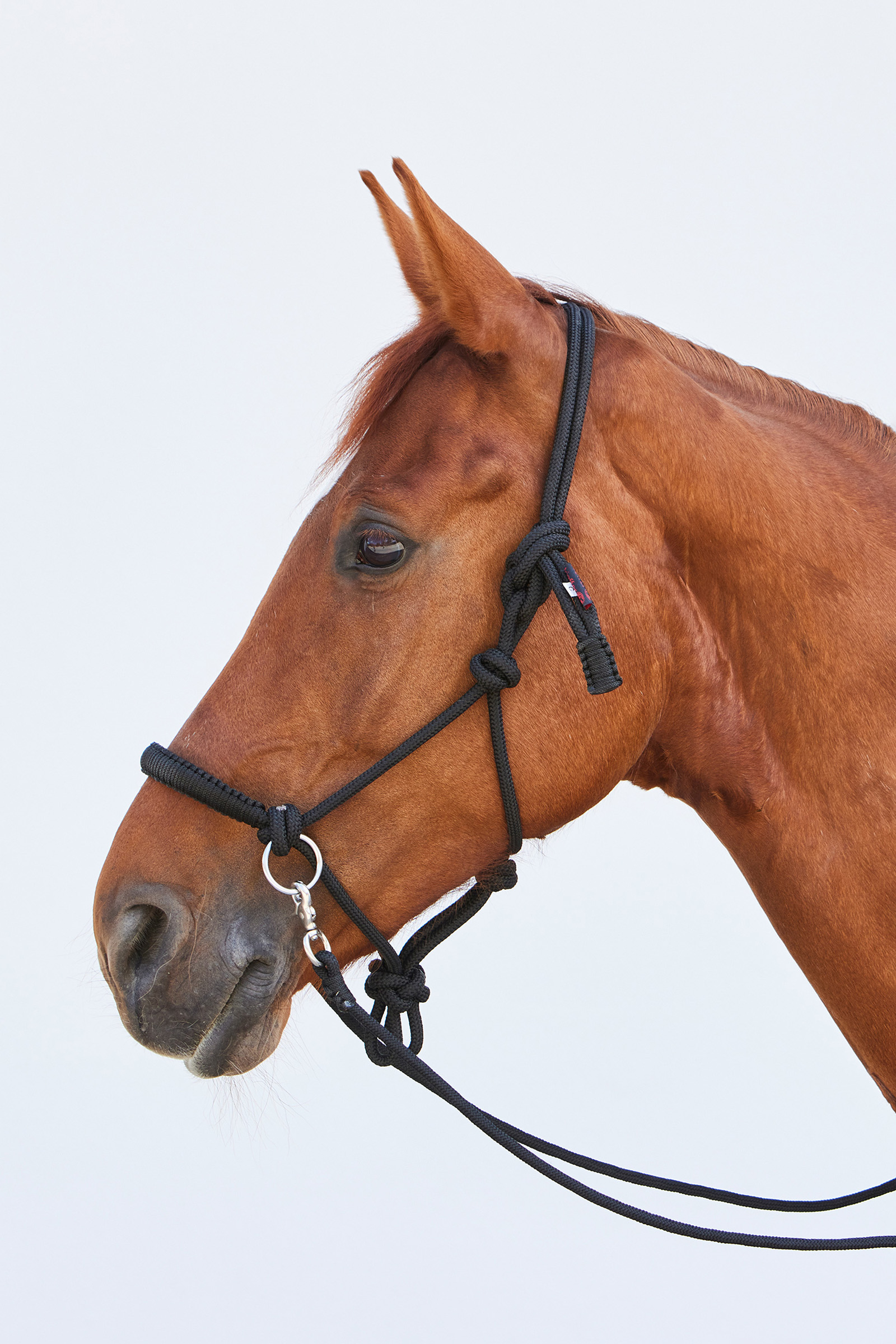 Kieffer Ruby Rope Grime