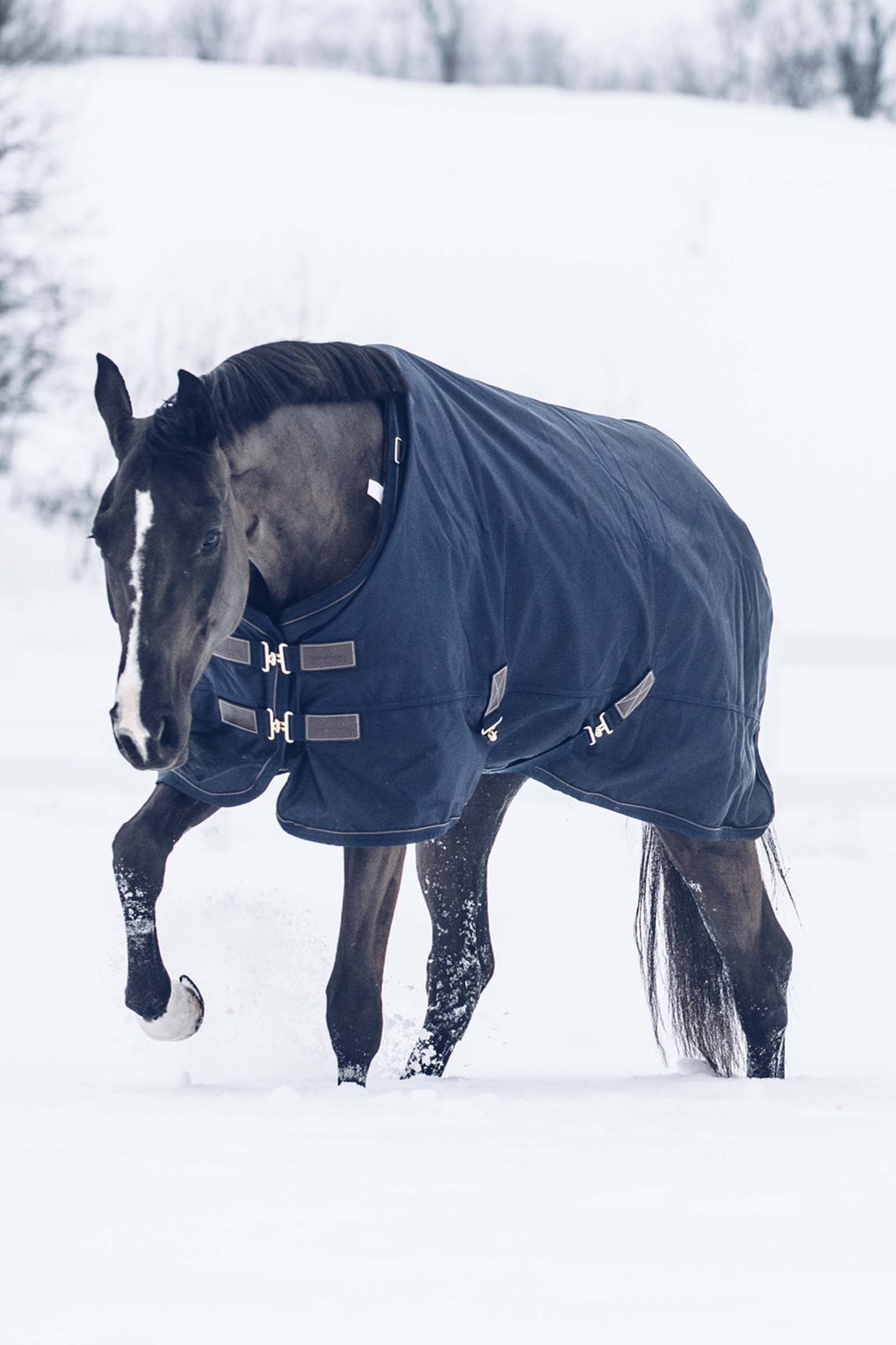 Kentucky Horsewear All Weather Waterproof Classic vinterdækken, 300 gr