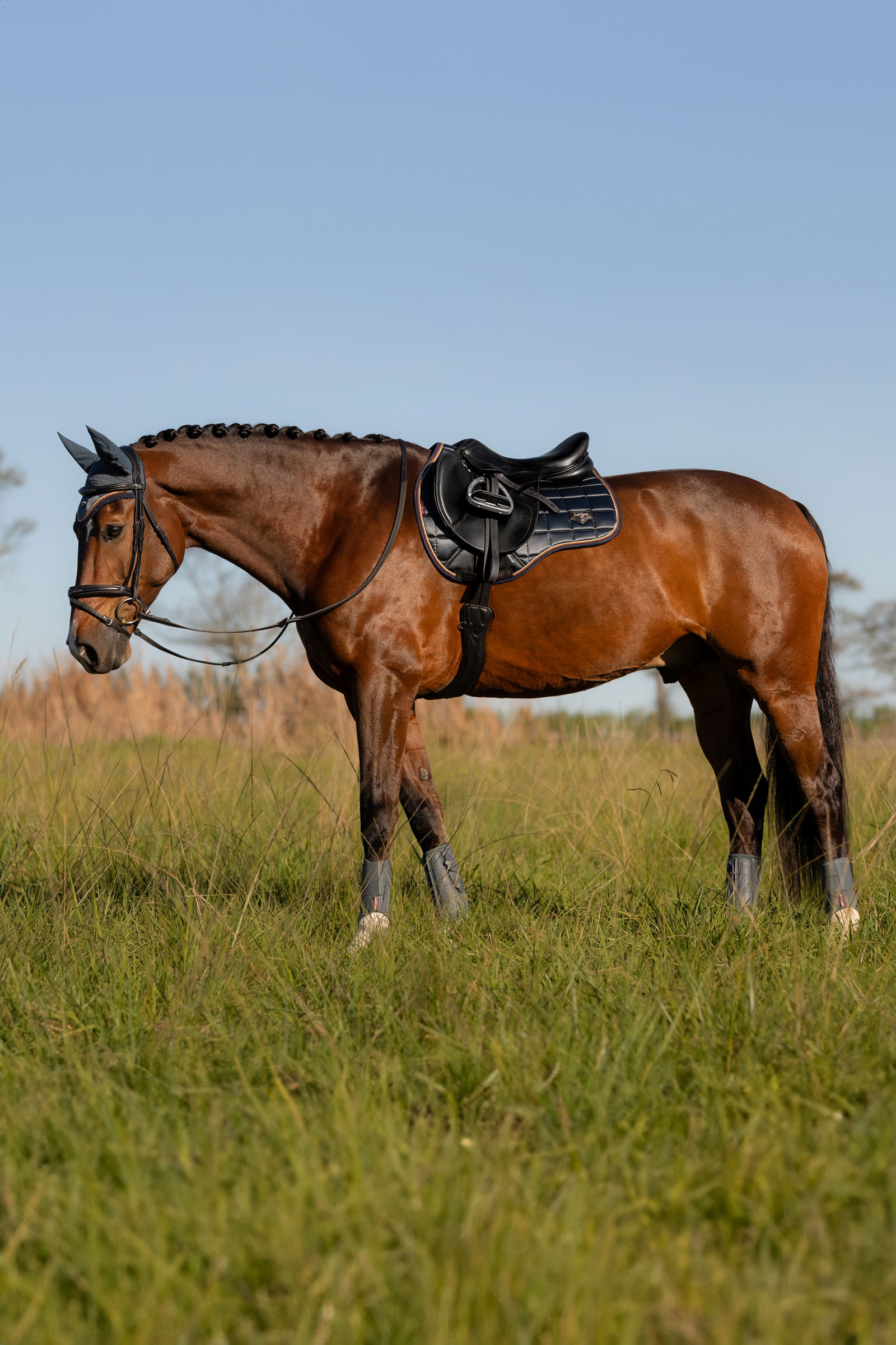 LeMieux Loire Classic Square allround underlag