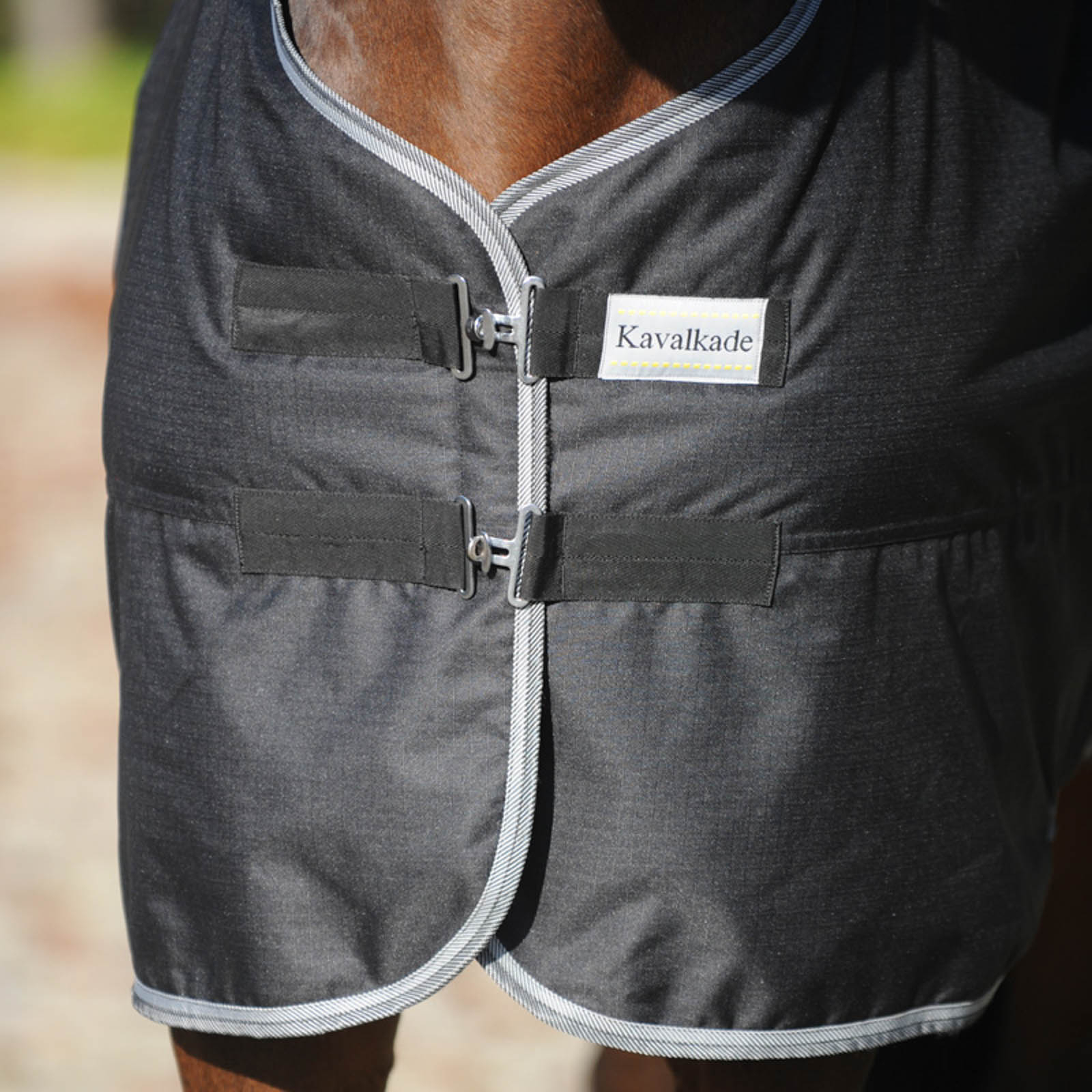 Kavalkade Winnipeg Overgangsdækken, 50 gr