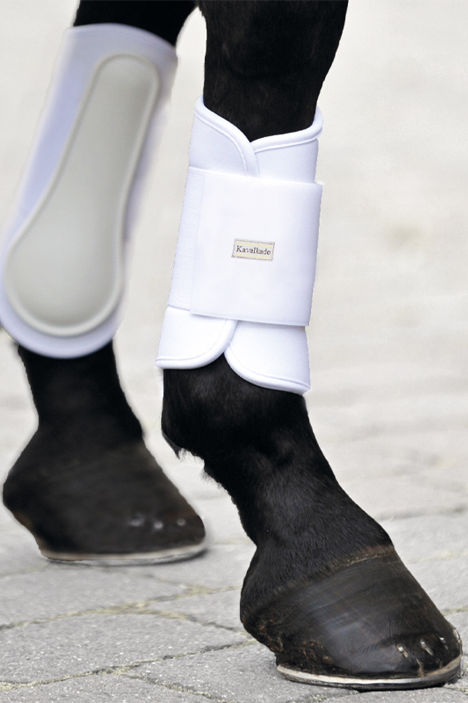 Kavalkade bl&oslash;de neopren strygegamacher, forben