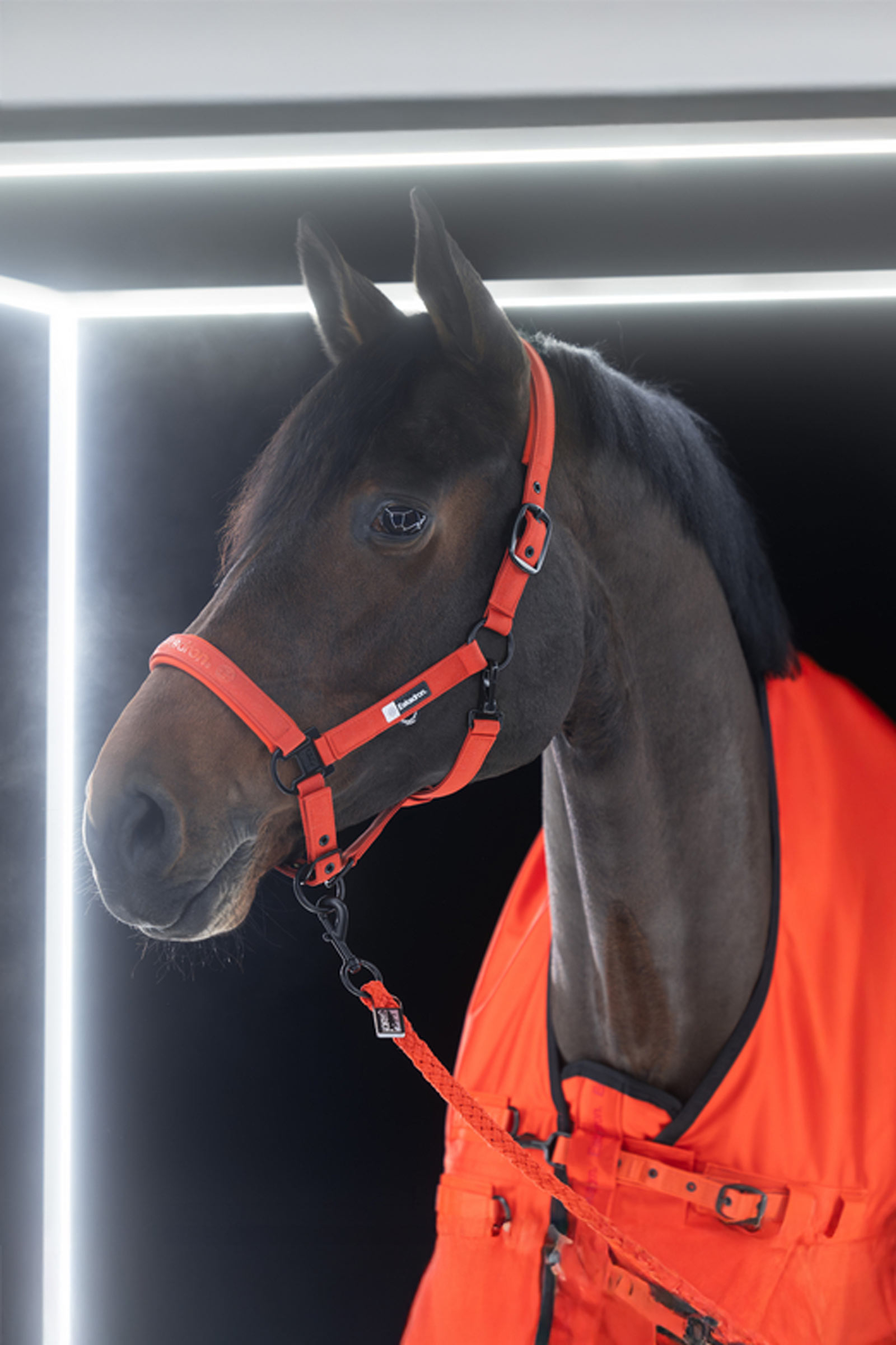 Eskadron Dynamics AW25 Beta uded&aelig;kken, 50 g