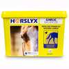 Horslyx Garlic, 5kg
