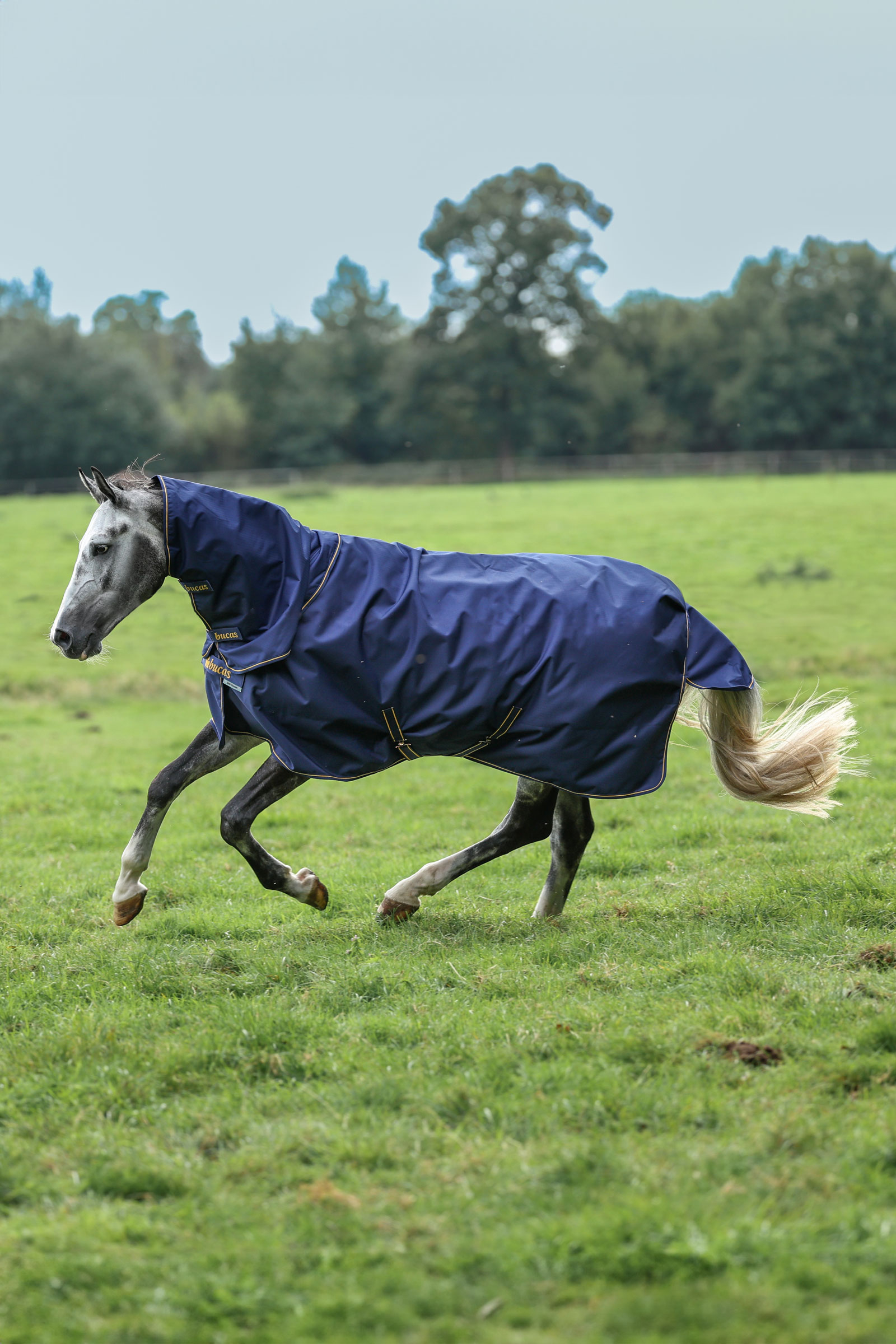 Bucas Irish Turnout halsstykke, 0g