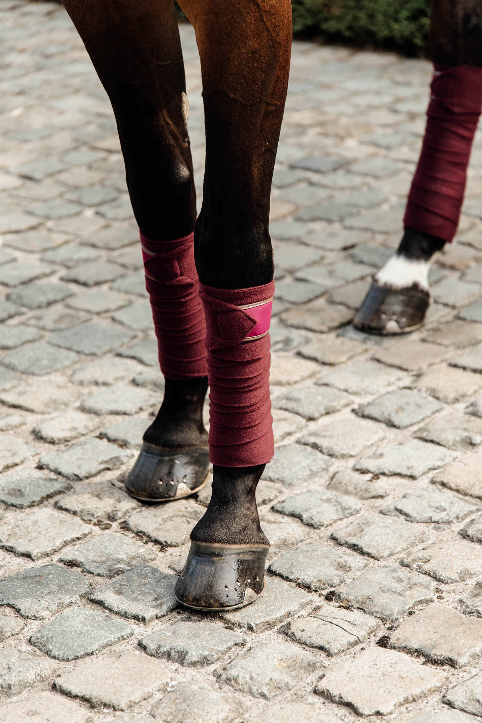 Kentucky Horsewear Polar Fleece Polos