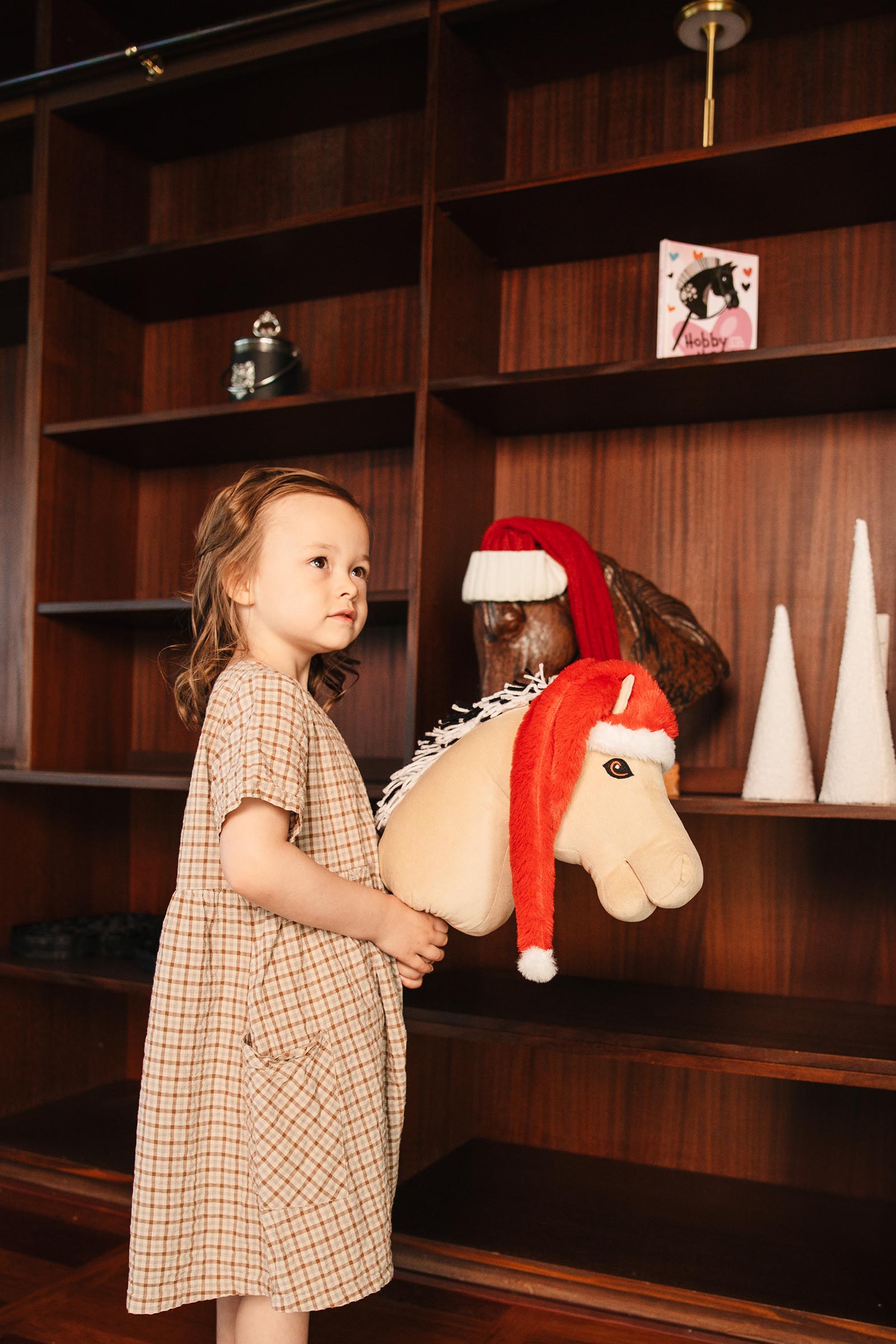 My Hobby Horse julehat