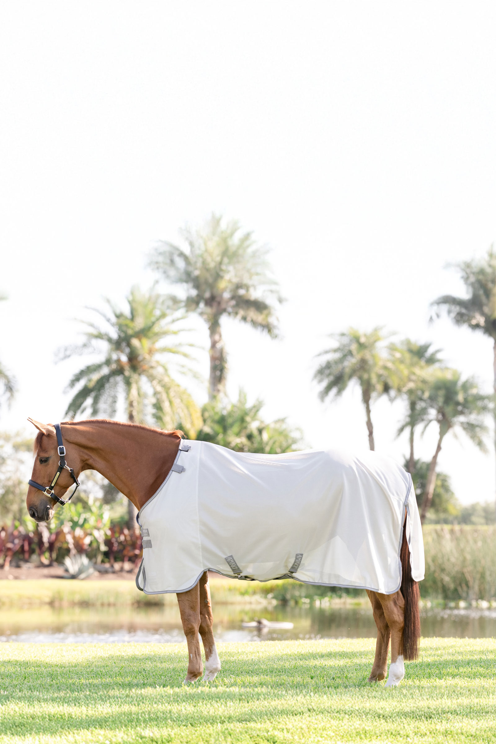 Horseware Amigo flued&aelig;kken med UV-beskyttelse