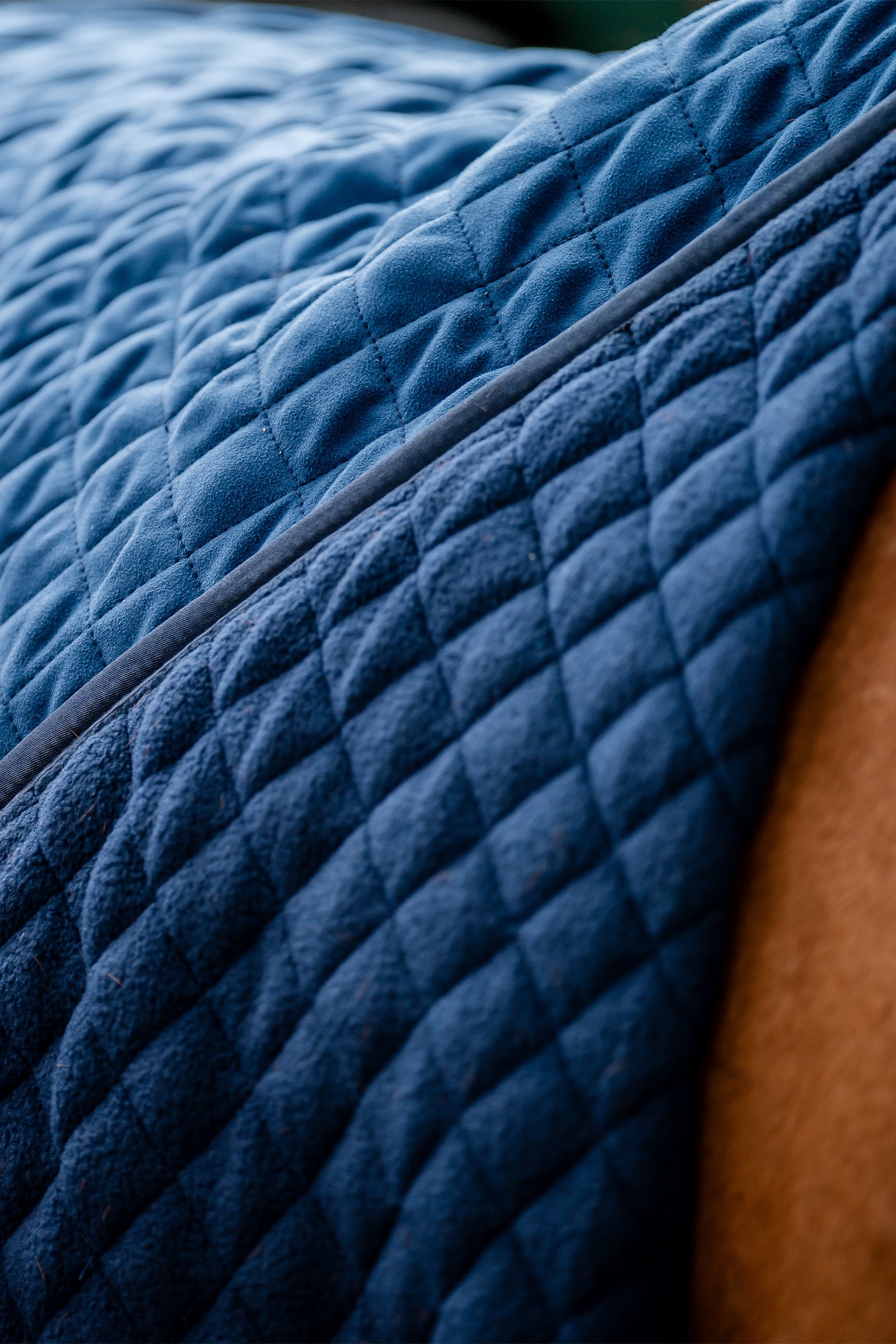 Horseware Signature Transporttæppe, 50g