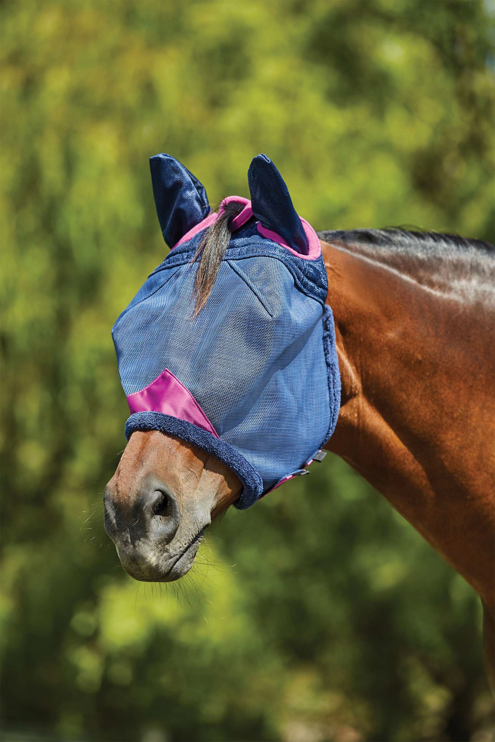 Weatherbeeta Comfitec Deluxe Durable Meshmaske med ører