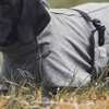 Back on Track Nella All-Round Dog Coat, 25-35cm