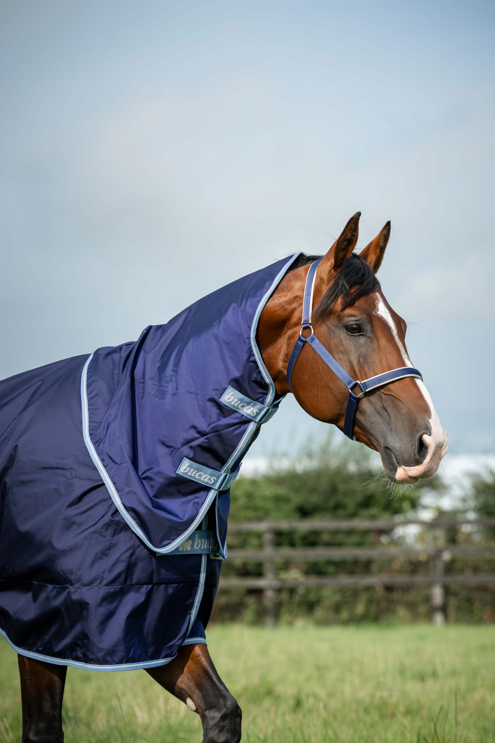 Bucas Atlantic Exclusive D&aelig;kken & Hals, 150 g