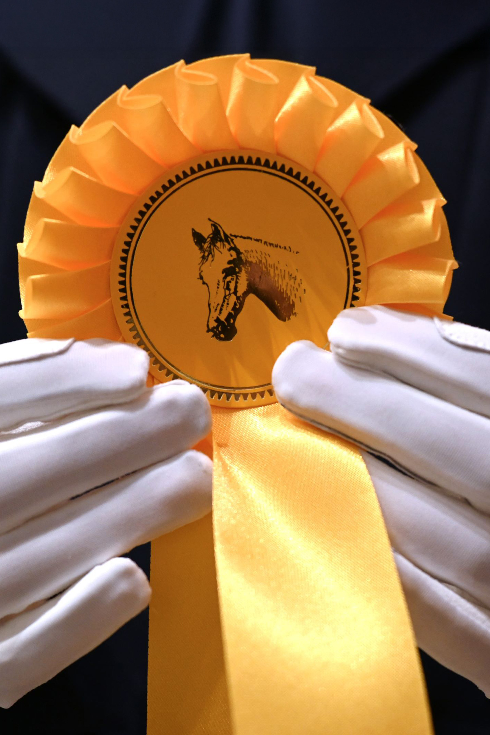 RSL Amalia ridehandsker til b&oslash;rn