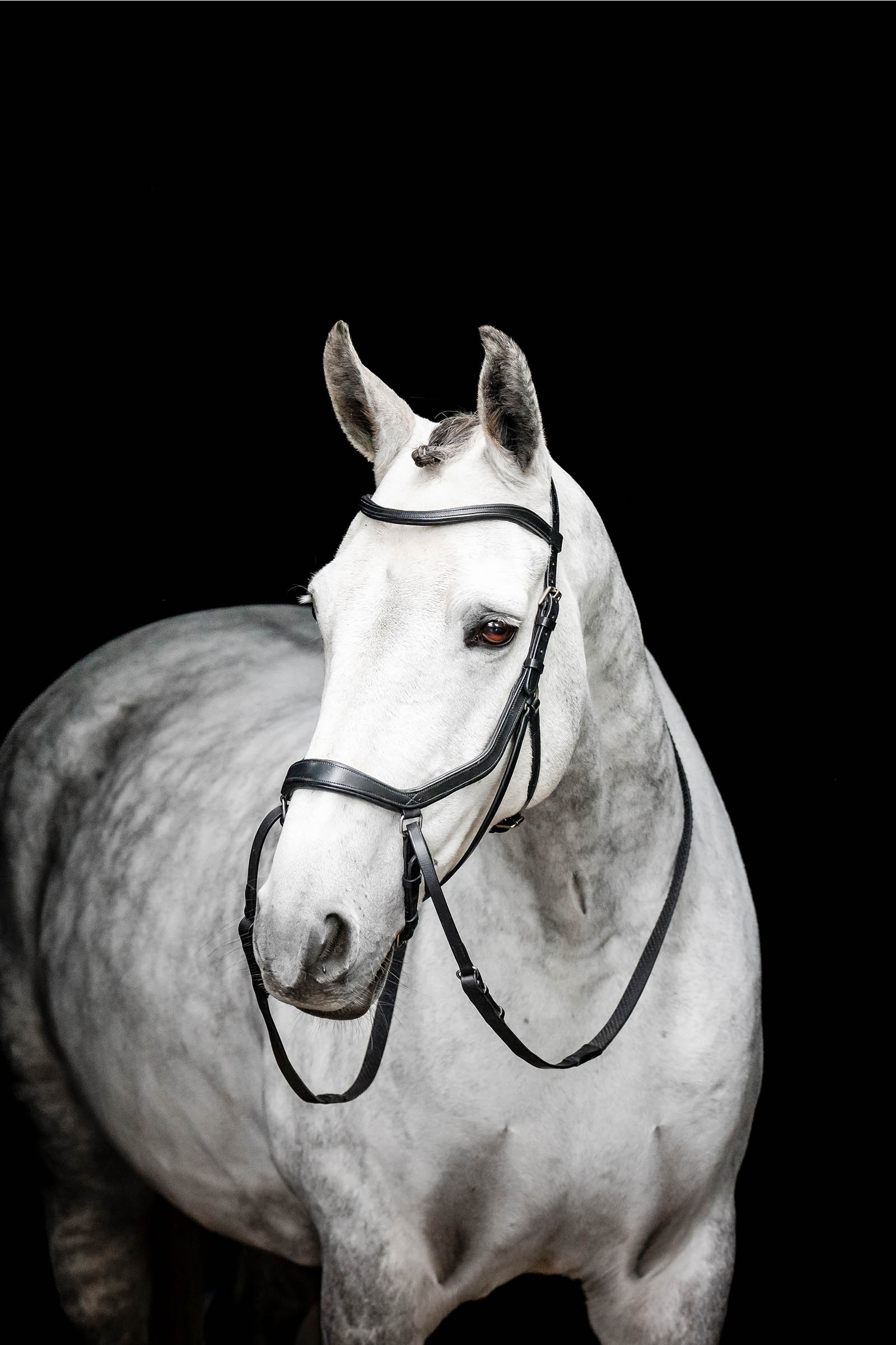 Black Horseware Micklem bidløs trense