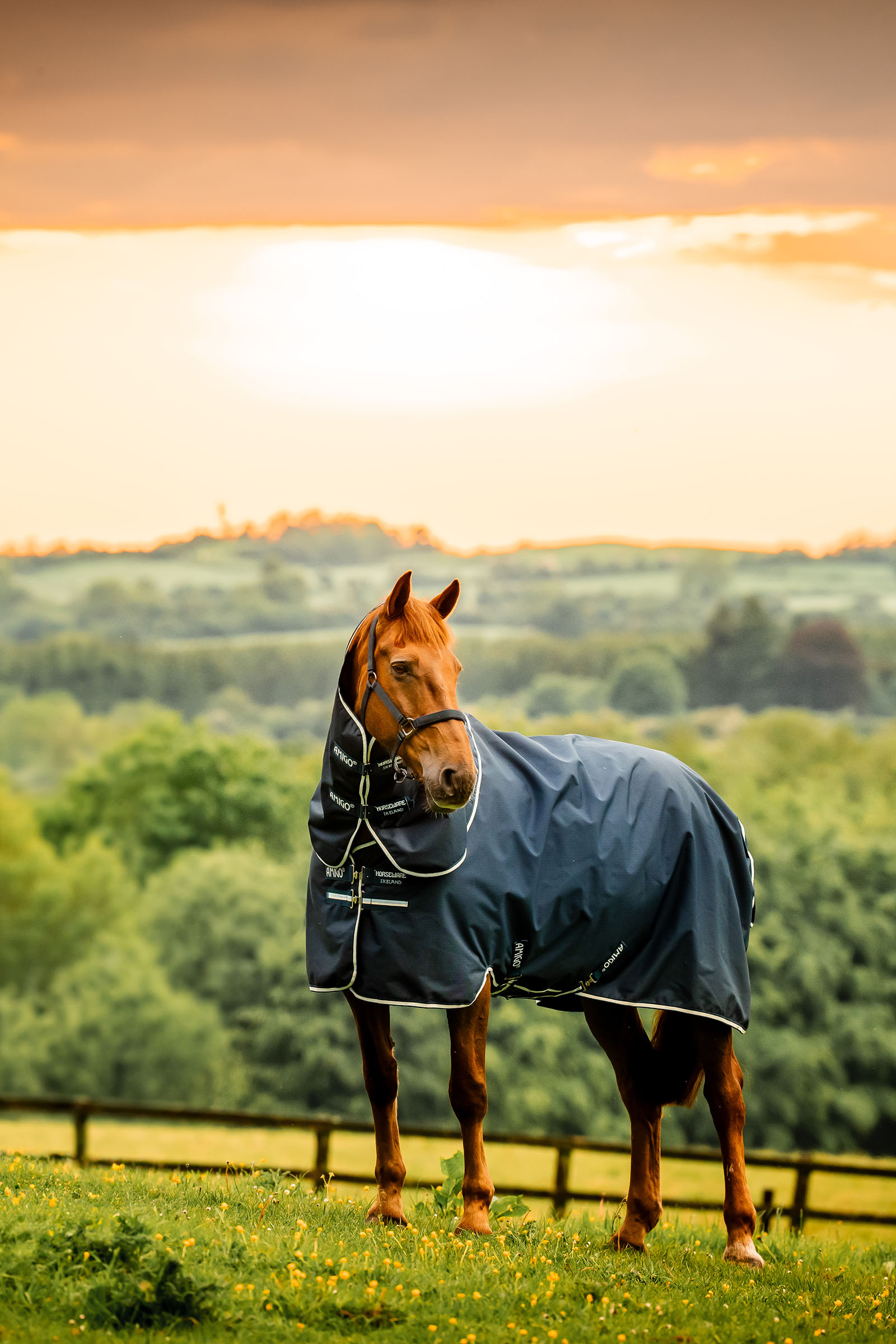 Witney Navy Horseware Amigo Ripstop 900D Plus uded&aelig;kken med aftagelig halsdel, 100 g