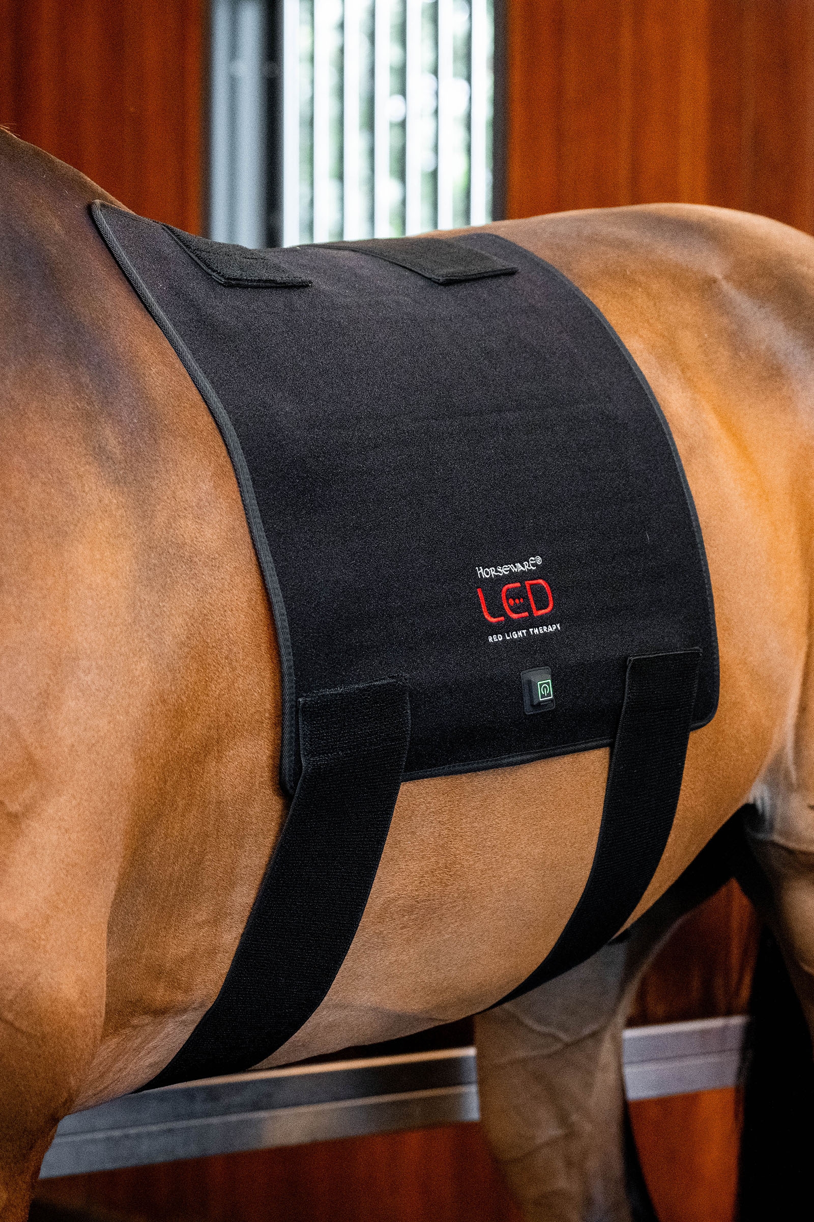 Horseware LED r&oslash;dlysterapi Pad