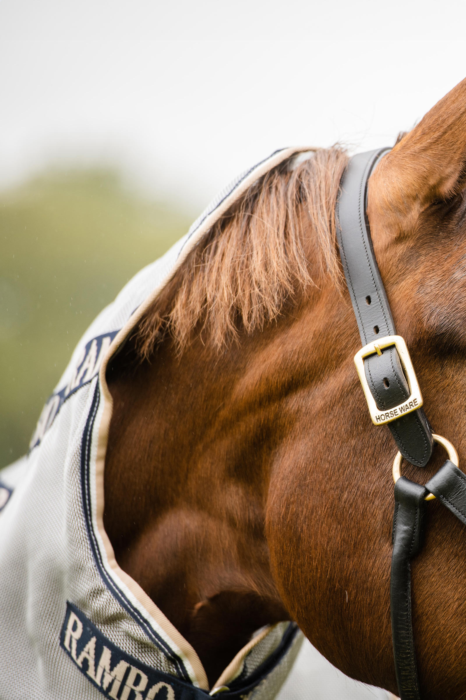 Horseware Rambo Protector flued&aelig;kken med aftagelig hals