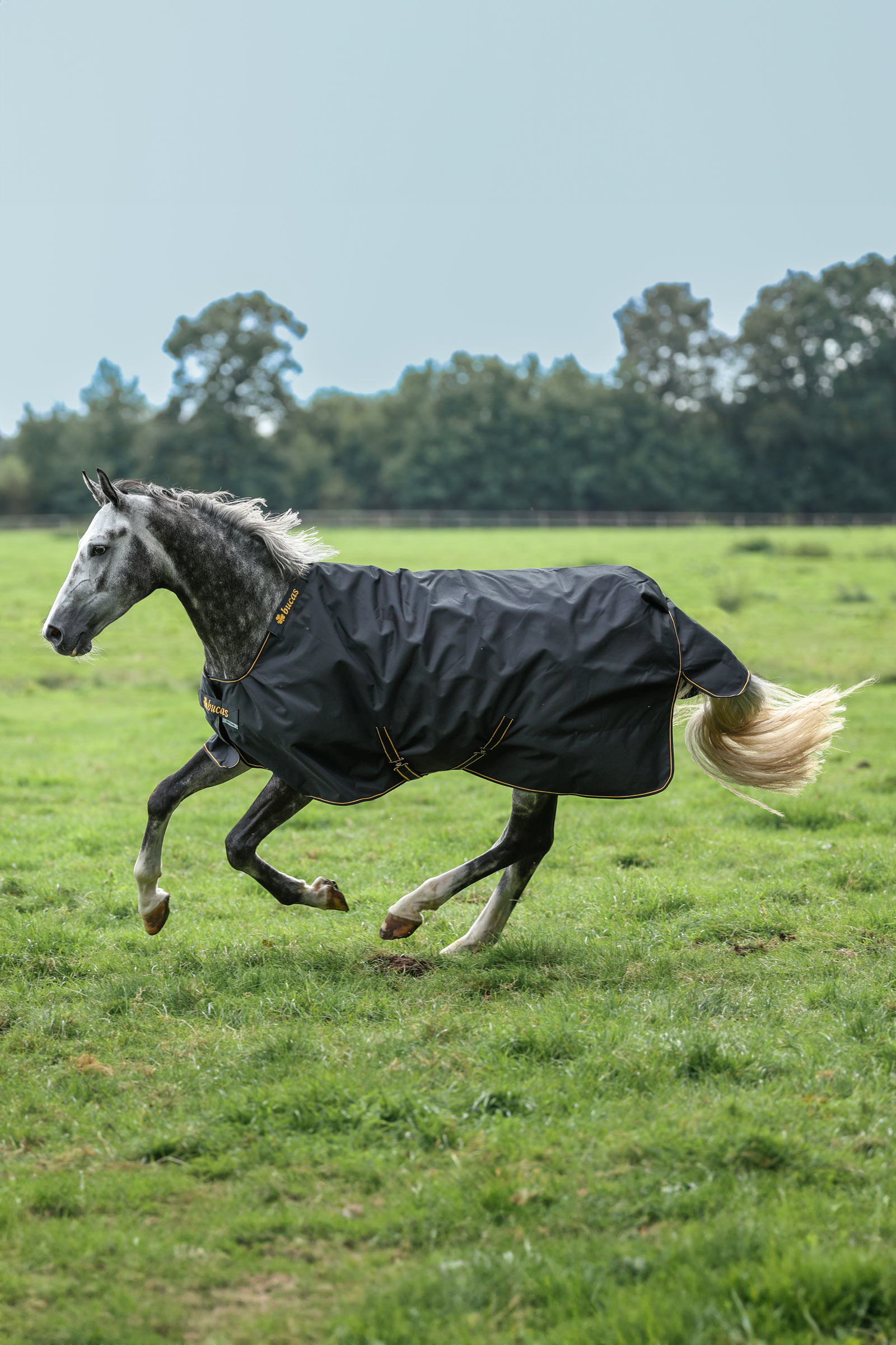 Bucas Irish Pony udedækken, 50g