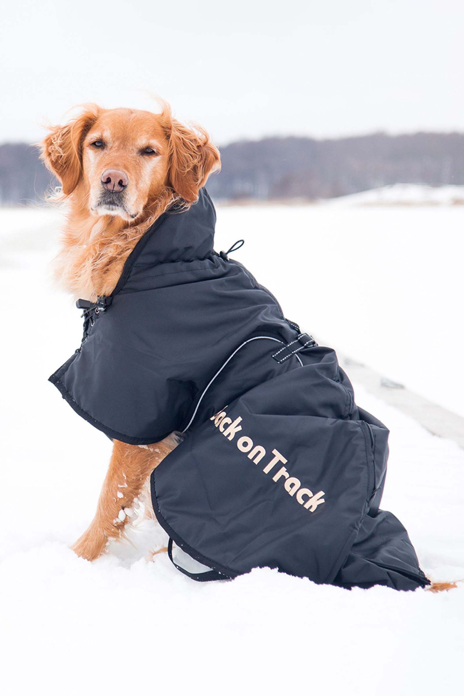 Back on Track hunded&aelig;kken (size 21-40)