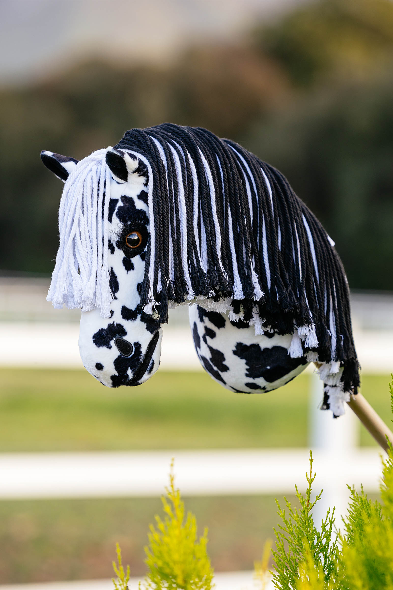 LeMieux Dakota k&aelig;phest