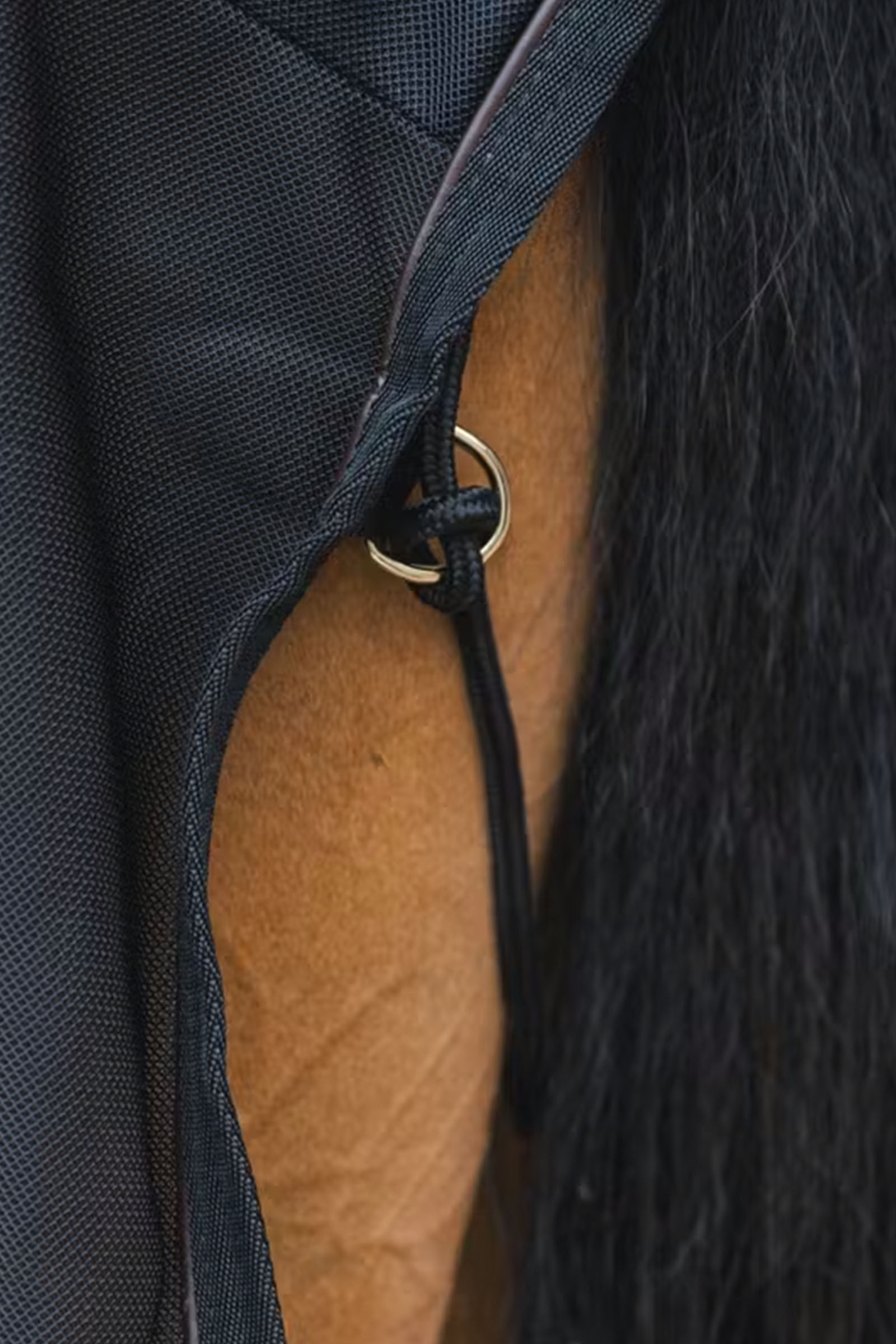 Kentucky Horsewear fluedækken i net