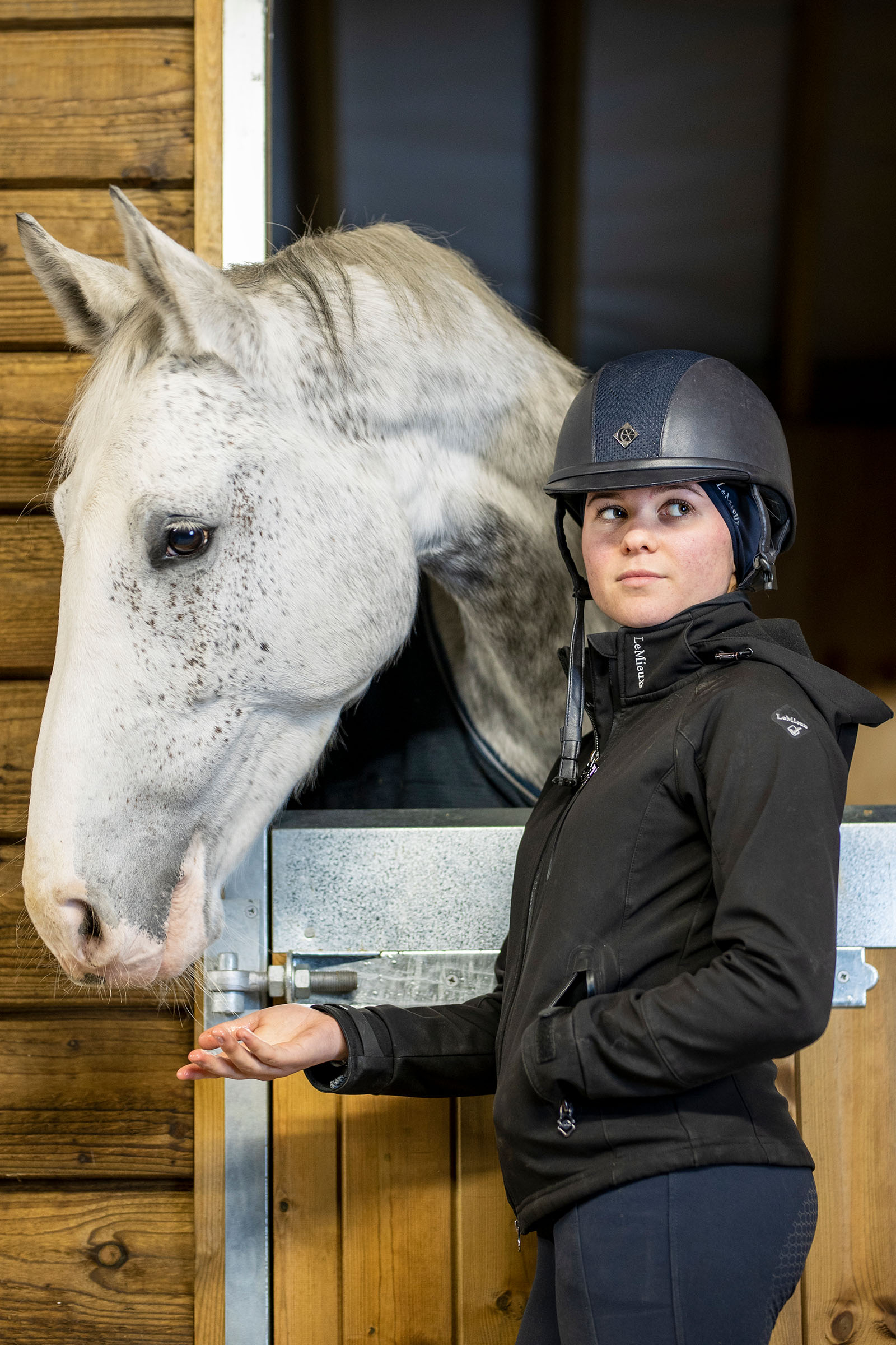 LeMieux pandebånd med ørevarmer