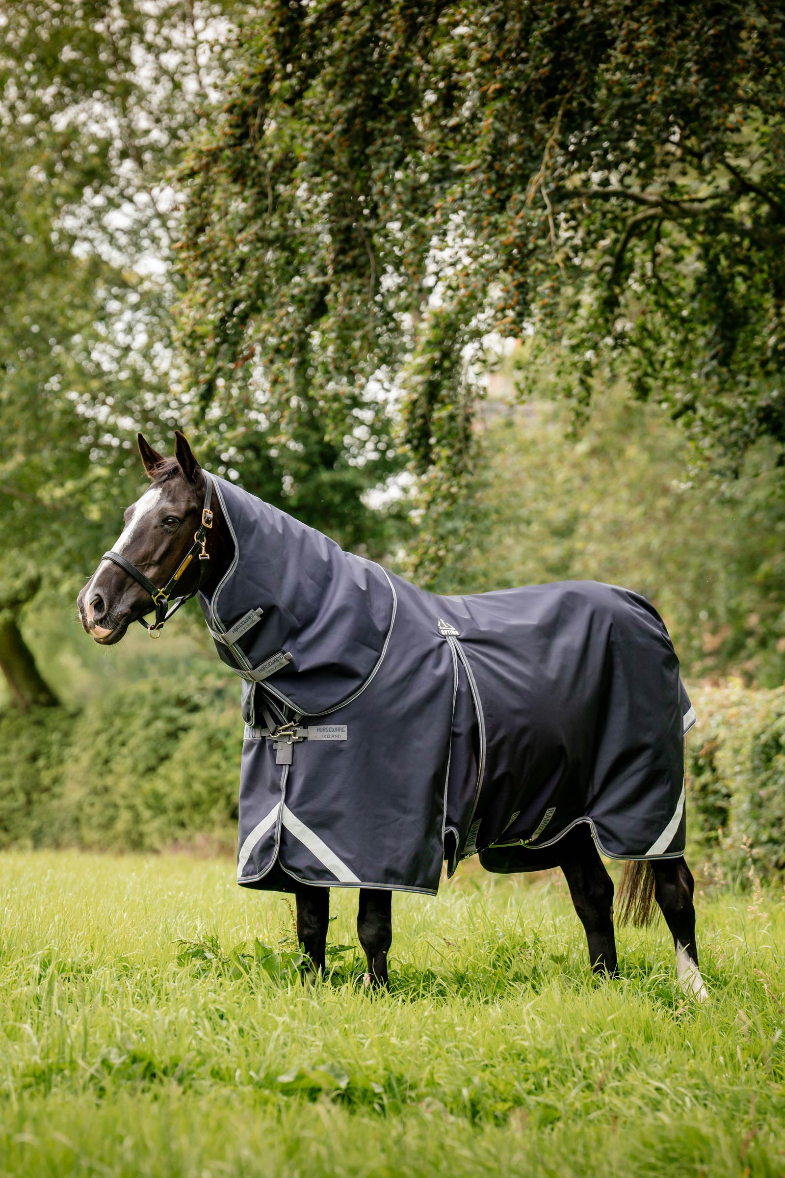 Horseware Rambo Optimo Plus Budle Udedækken (m/ 200g Liner)