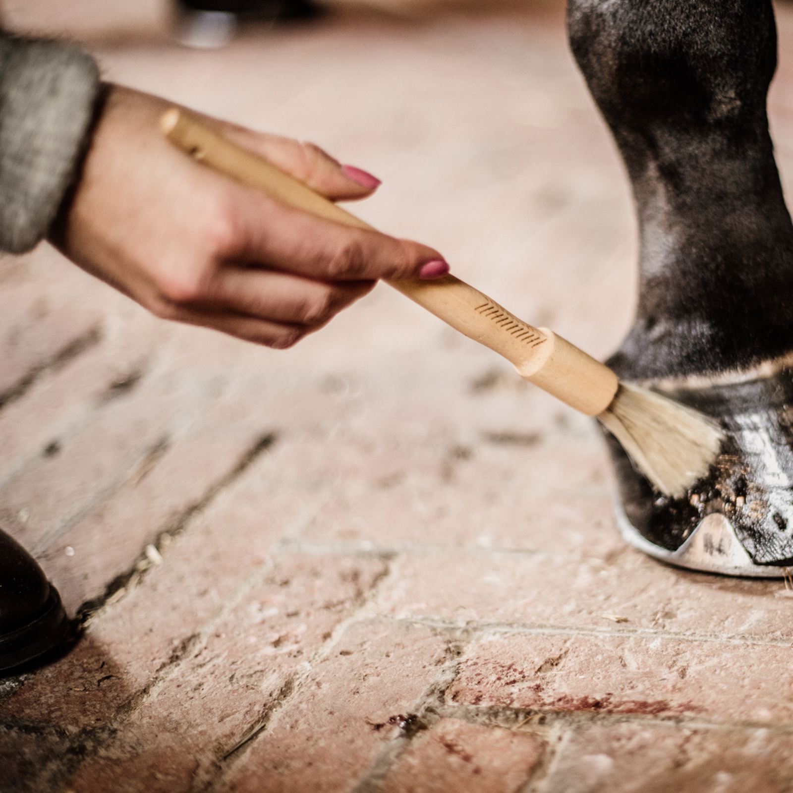 Kentucky Grooming Deluxe hov pensel