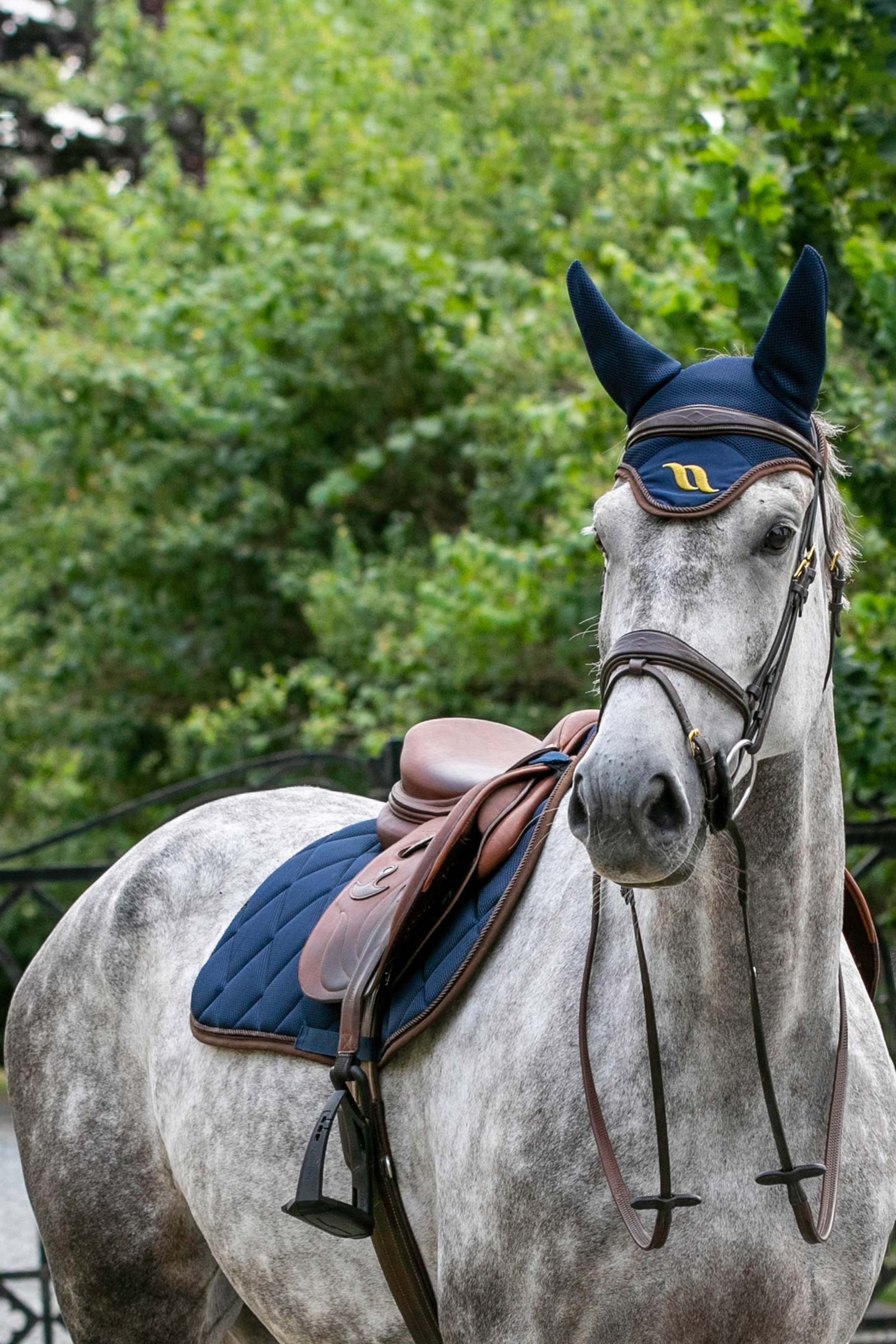 Back on Track Aitflow Hut