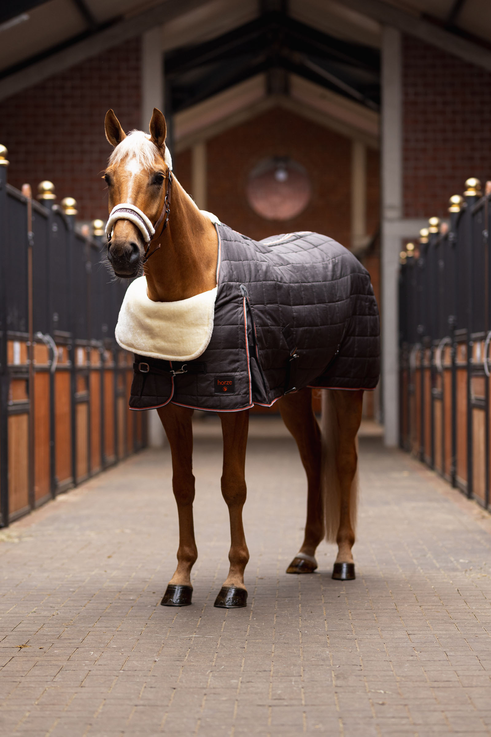 Horze Komfort skulderbeskytter