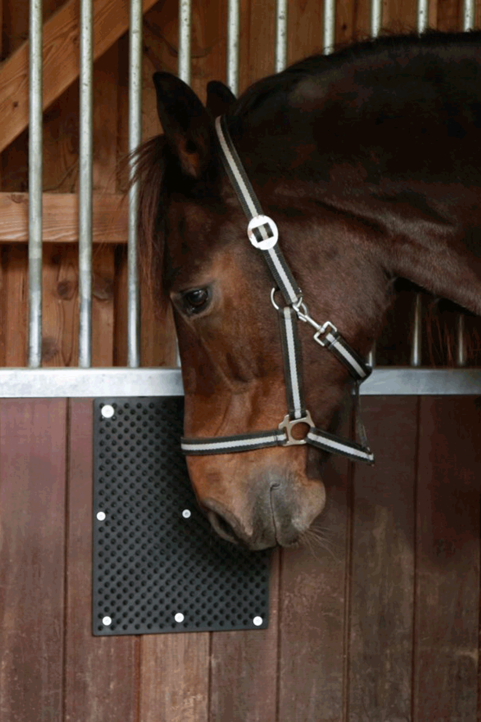 Kerbl Scratch Mat klømåtte