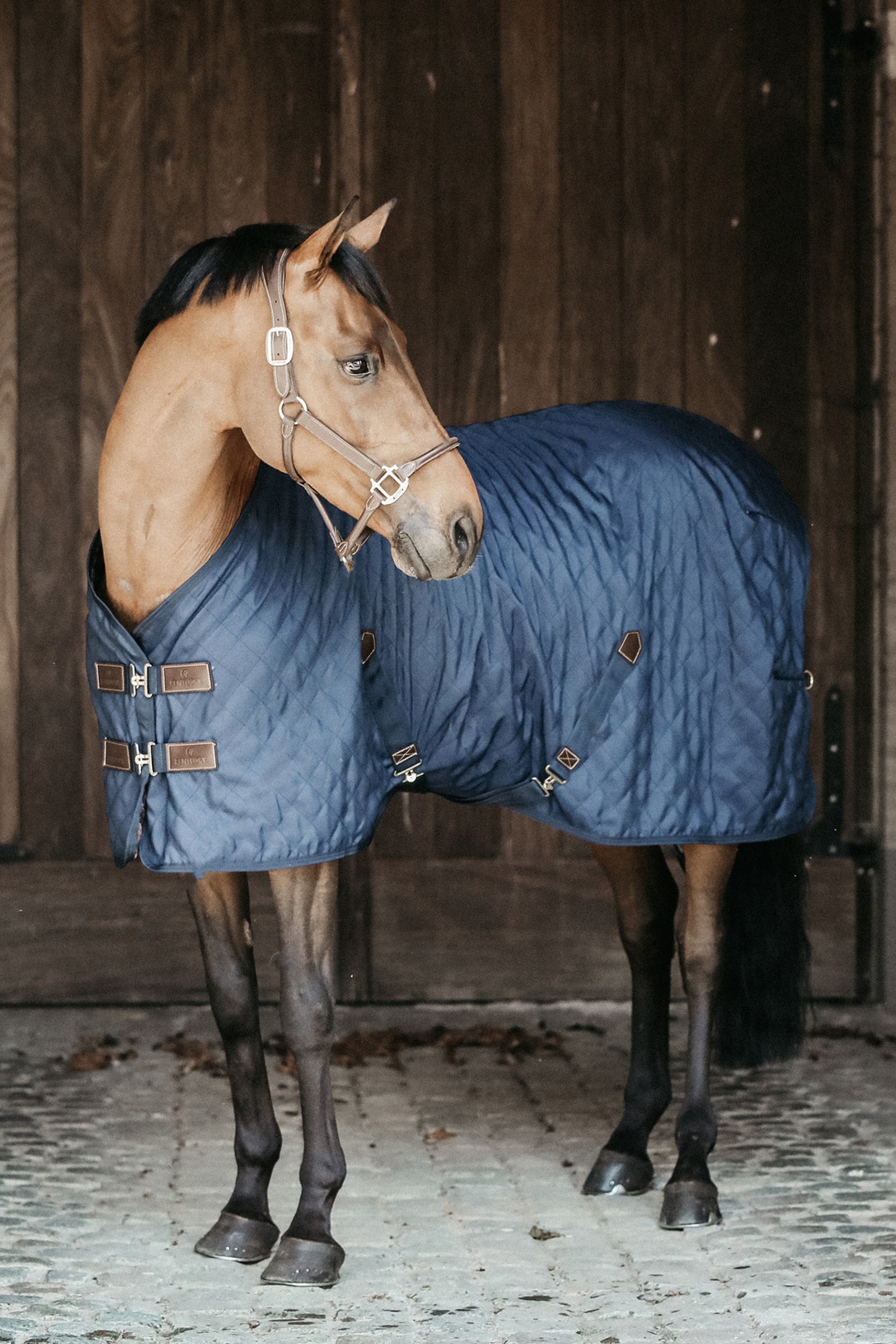 DB/AB Kentucky Horsewear Stable Rug, 0g