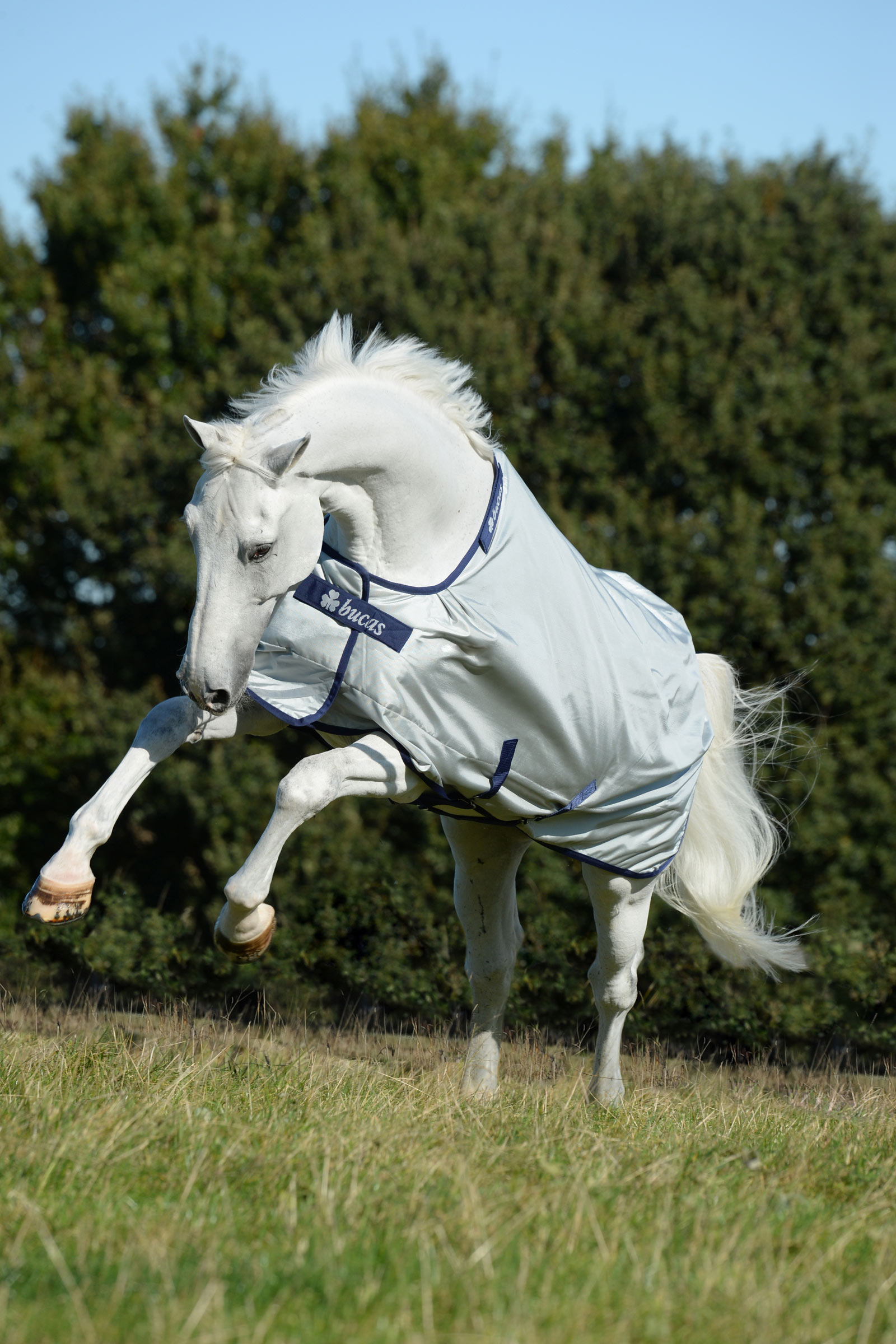 Bucas Power let uded&aelig;kken, 0g