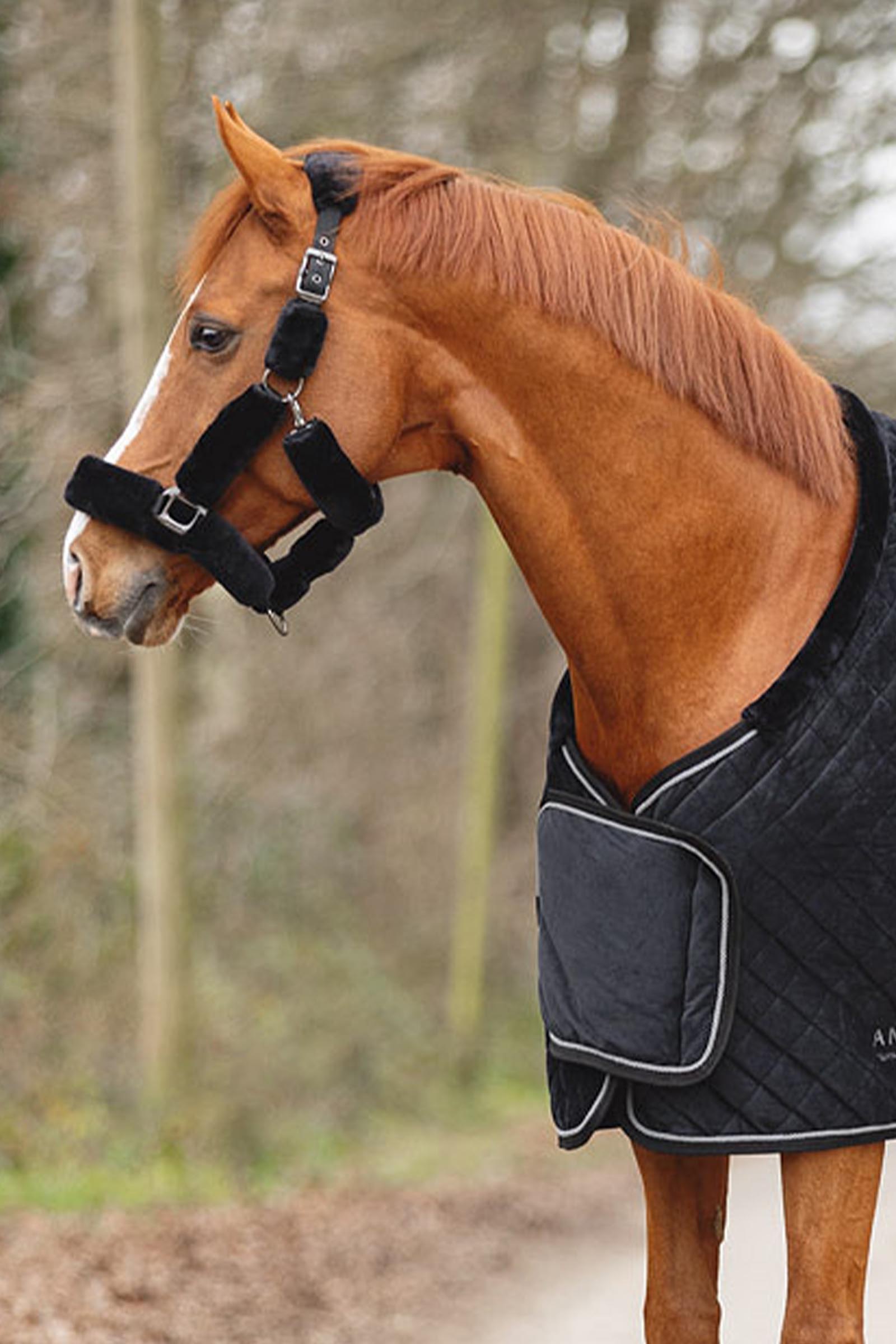 ANKY Victory Showd&aelig;kken 200 g