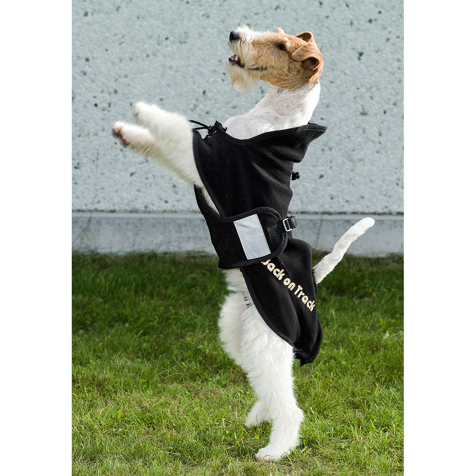 Back on Track fleeced&aelig;kken til hund, 21-34