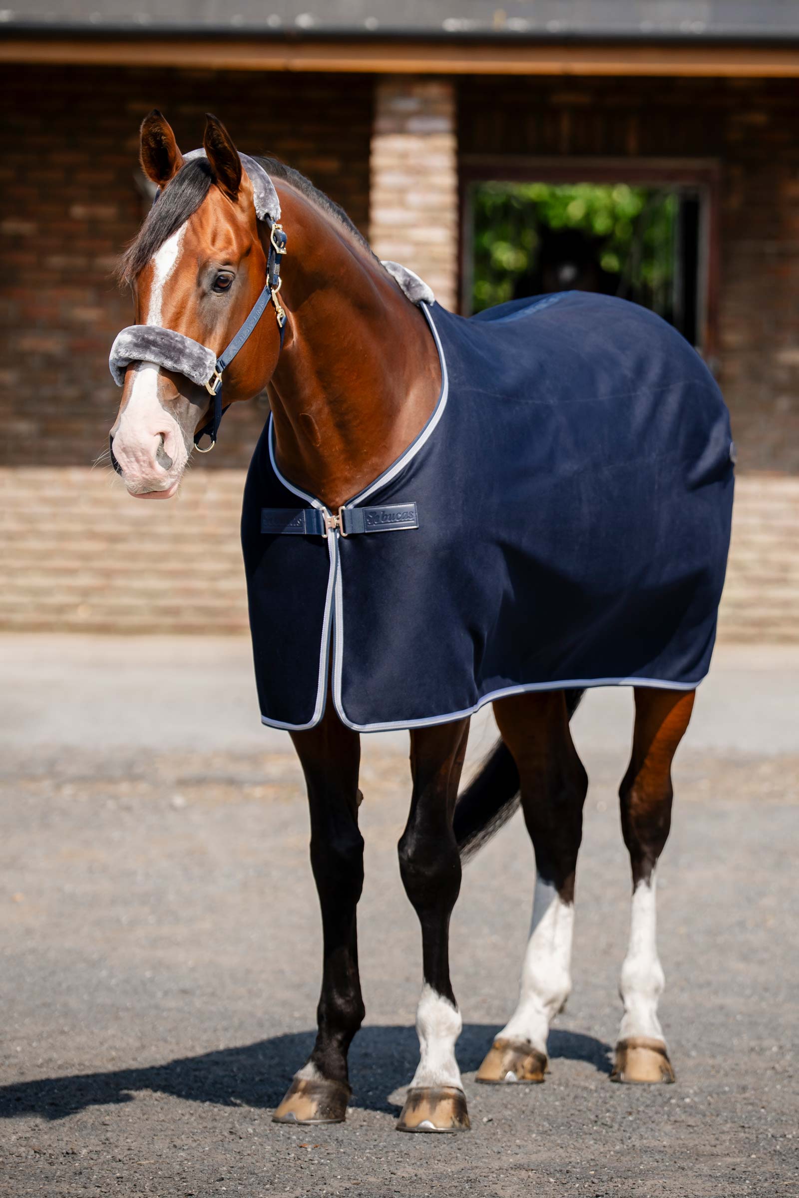 Bucas Emerald Uld T&aelig;ppe