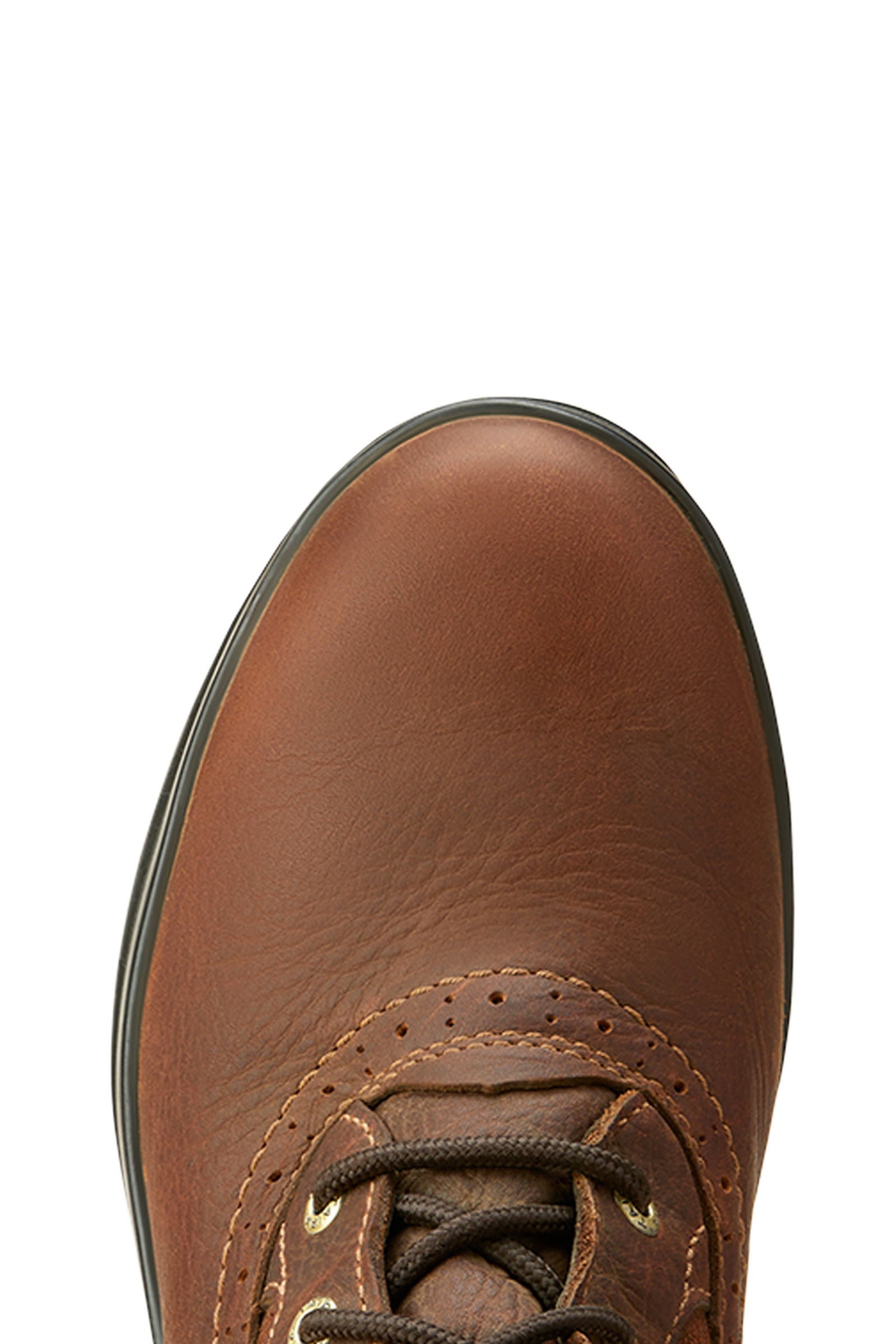 Ariat Wythburn Tall Dame vandt&aelig;tte h&oslash;je st&oslash;vler