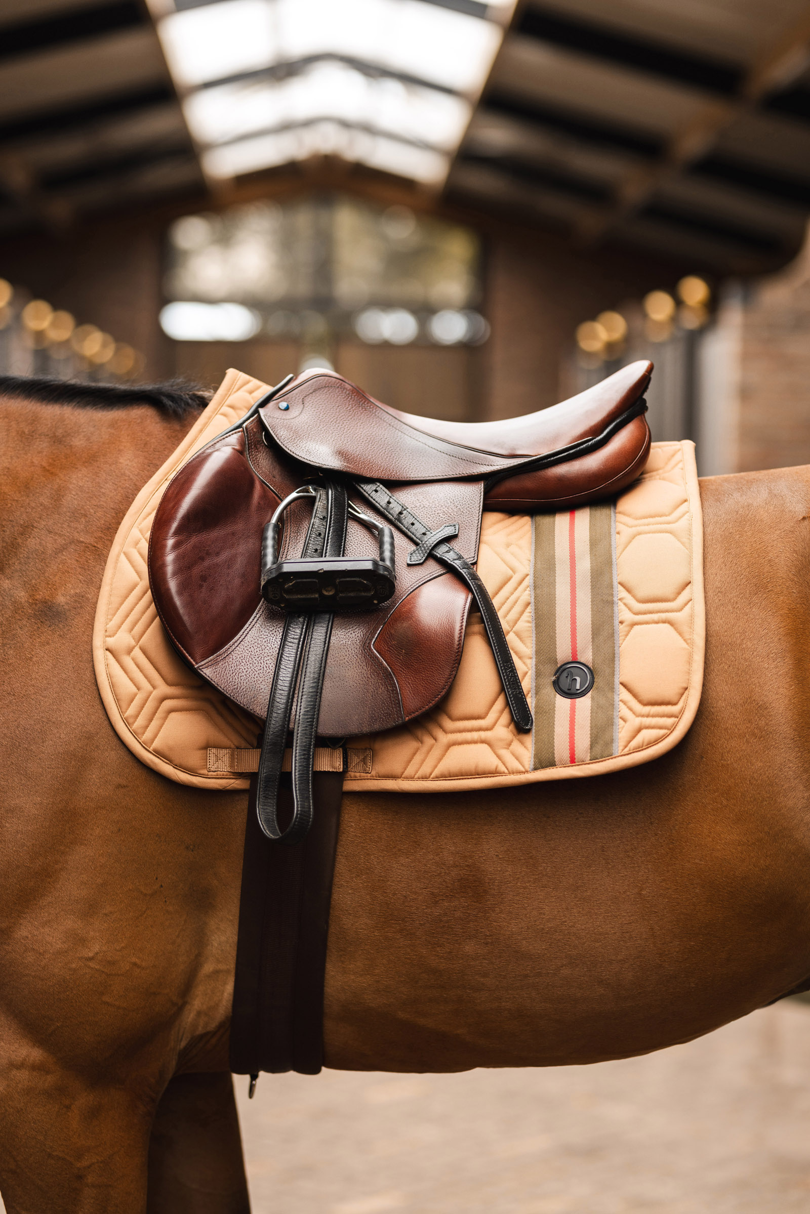 Horze High Life Springunderland